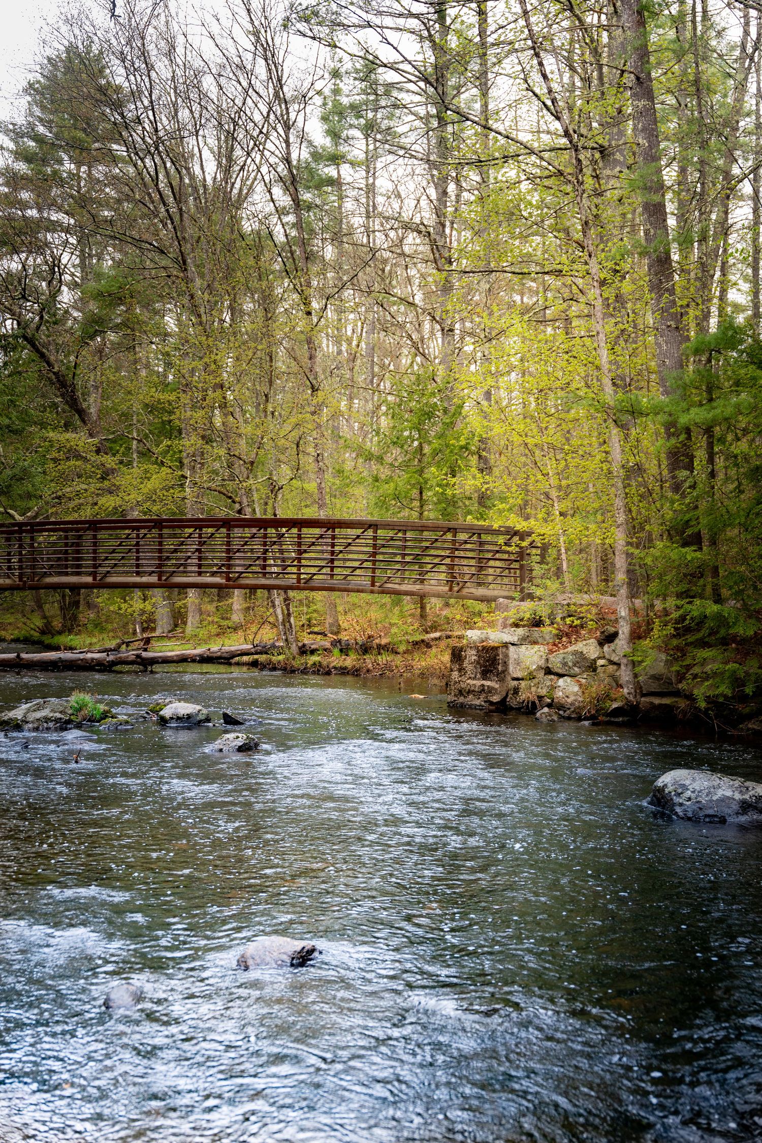 A wooden footbridge spans a rocky stream surrounded by lush green forest trees in early spring.