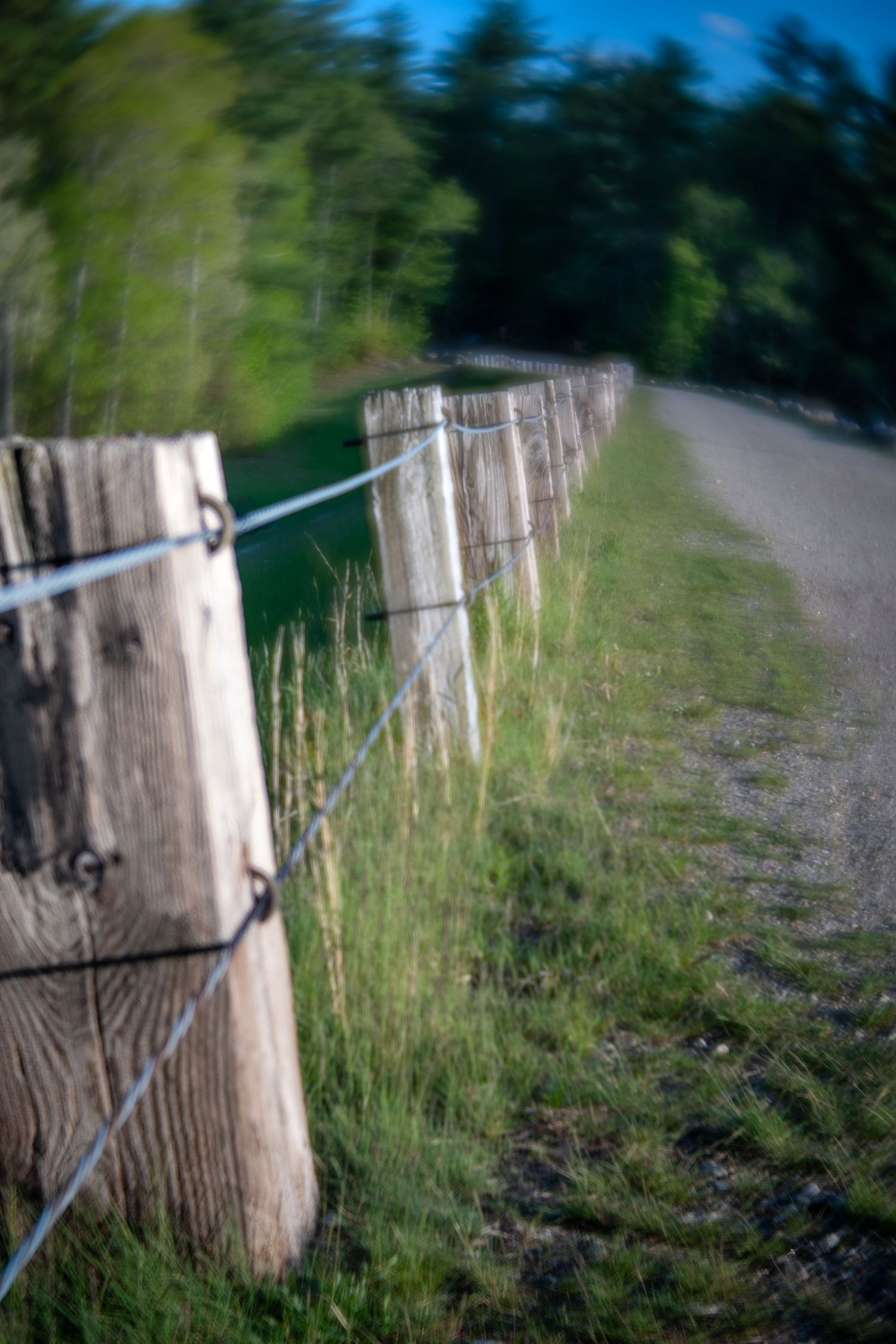 Rustic wooden fence posts with wire along a gravel path, surrounded by lush green grass and trees.