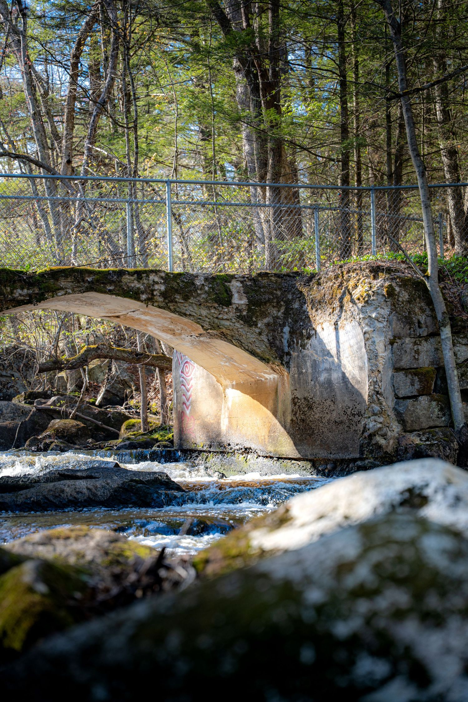 A rustic stone arch bridge over a rocky stream in a forest, with chain-link fencing and sunlit trees in early spring.