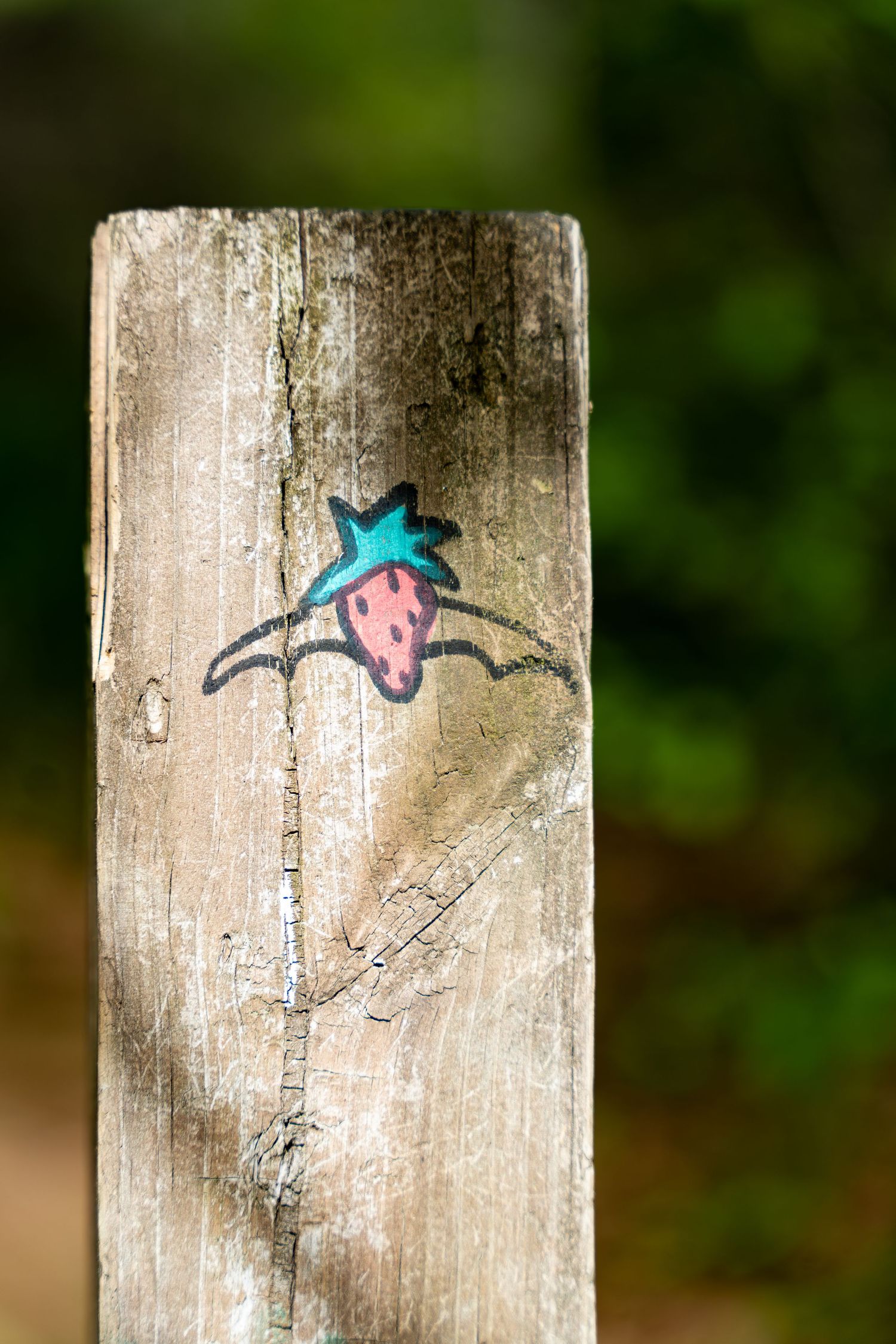 A painted strawberry trail marker on a weathered wooden post with a green blurred background.