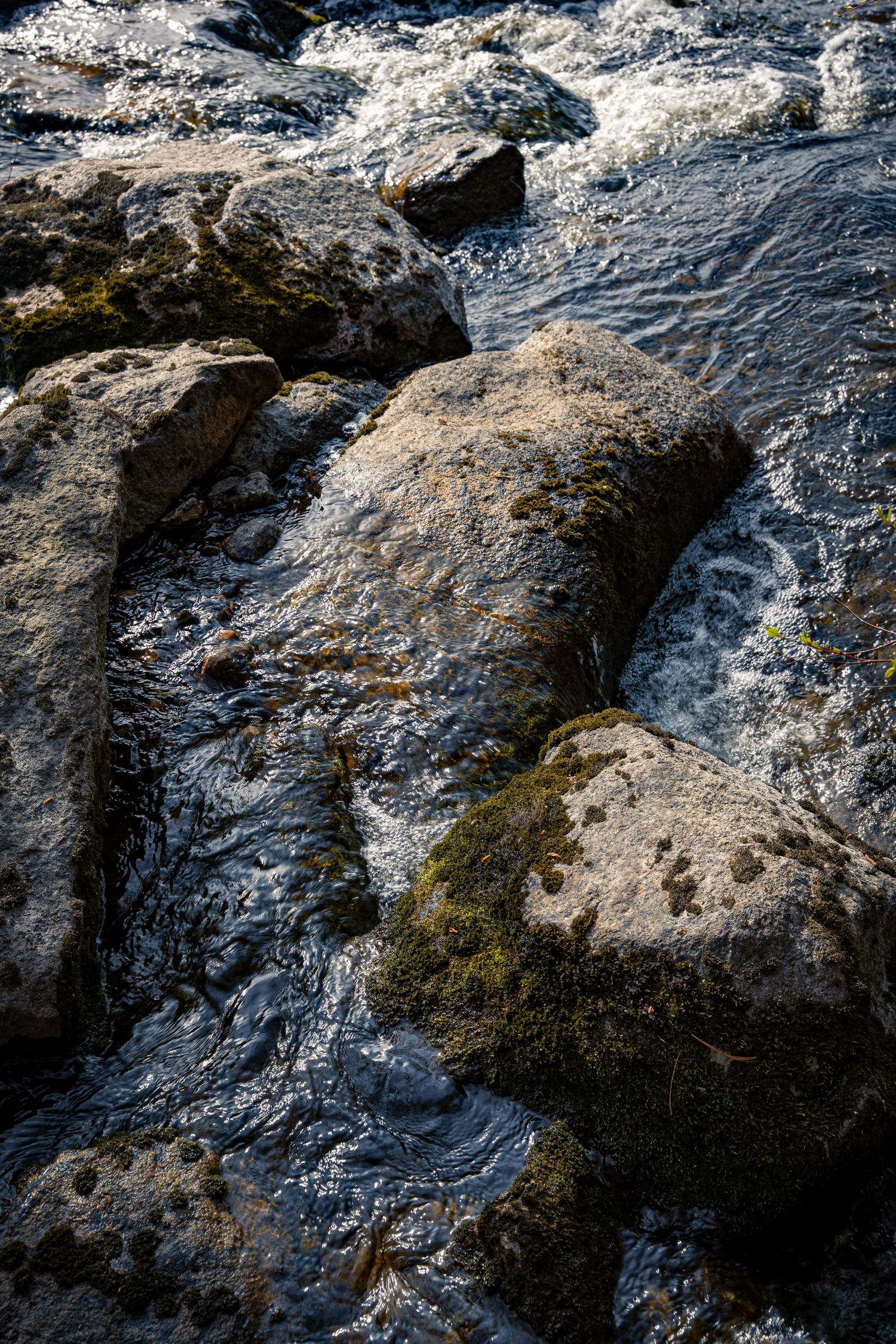 Rocky river rapids with white water flowing over moss-covered stones in bright sunlight.