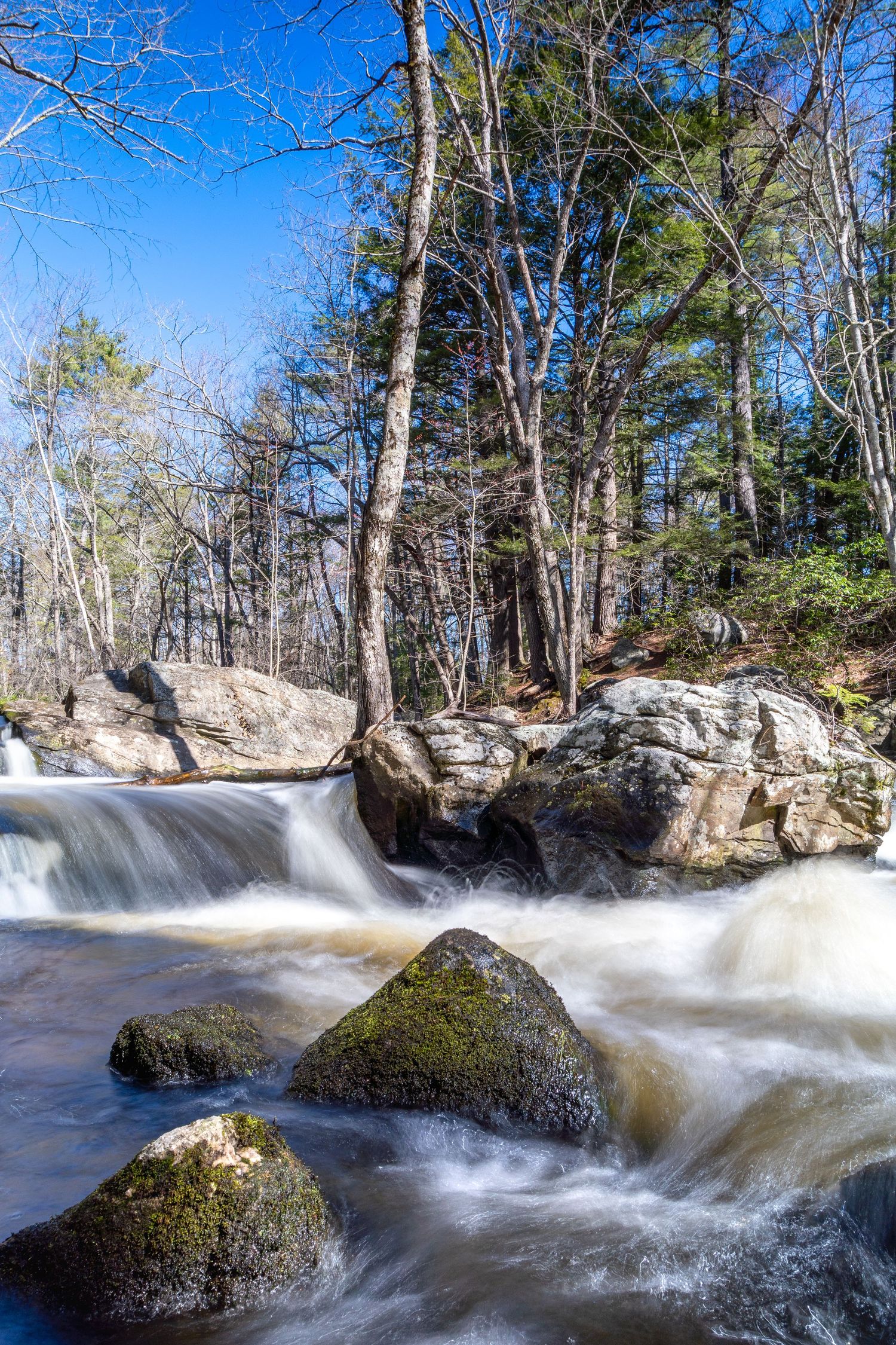 Fast-moving whitewater cascades over mossy rocks in a forest stream during winter with bare trees in the background.