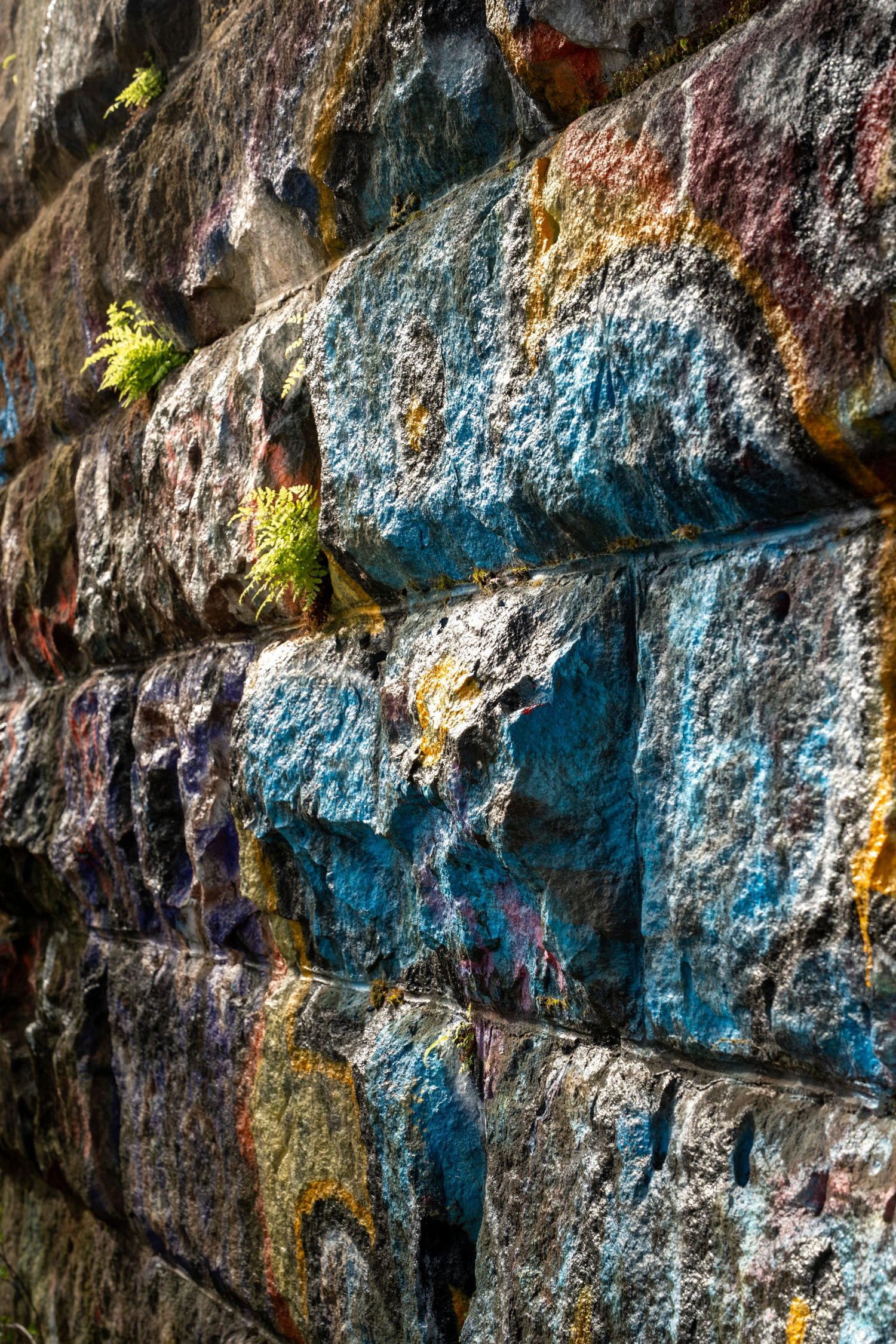Colorful mossy stone wall with blue, orange, and yellow lichen patterns and small ferns.