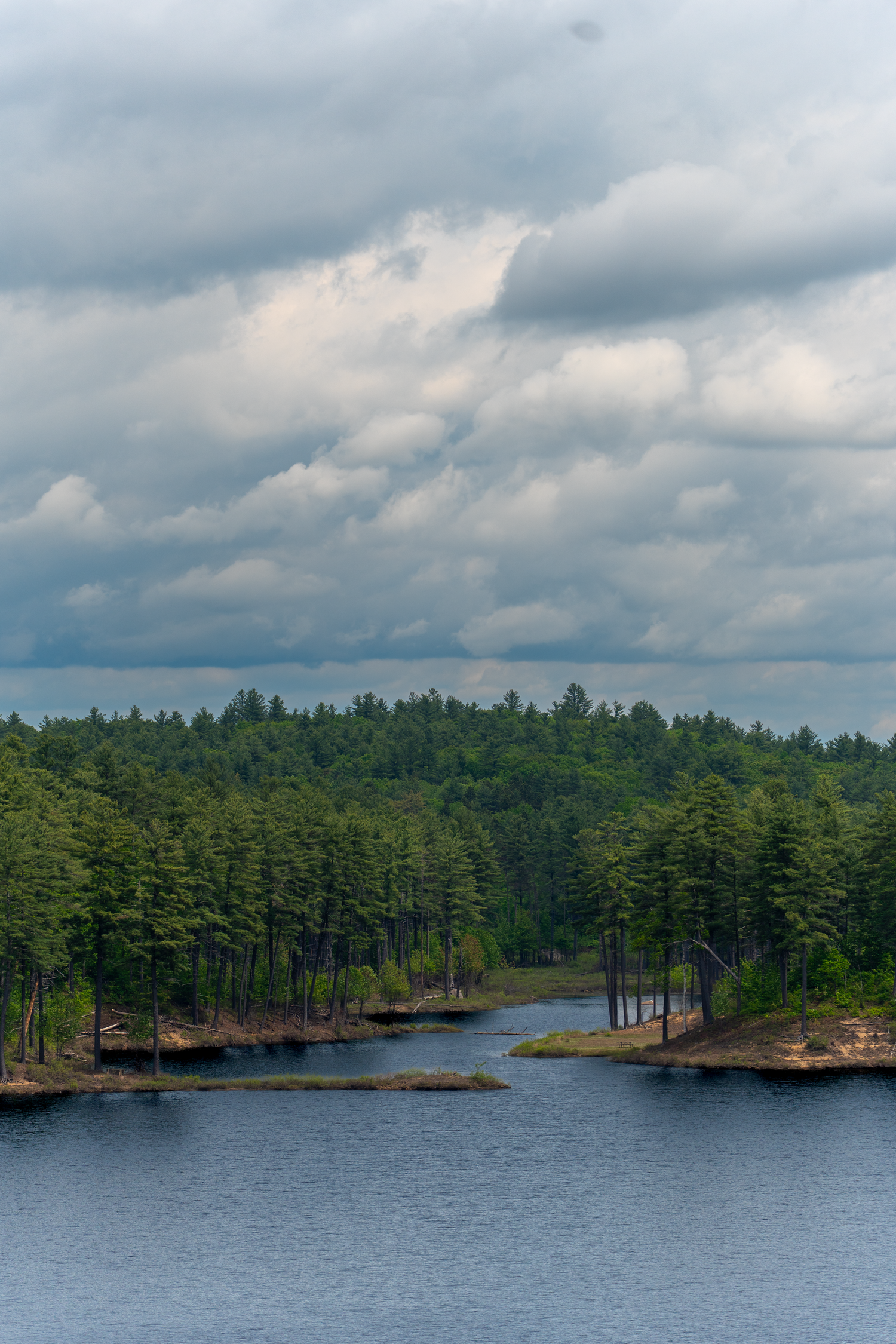 A panoramic view of a serene lake surrounded by dense pine forest under dramatic cloudy skies in the wilderness.
