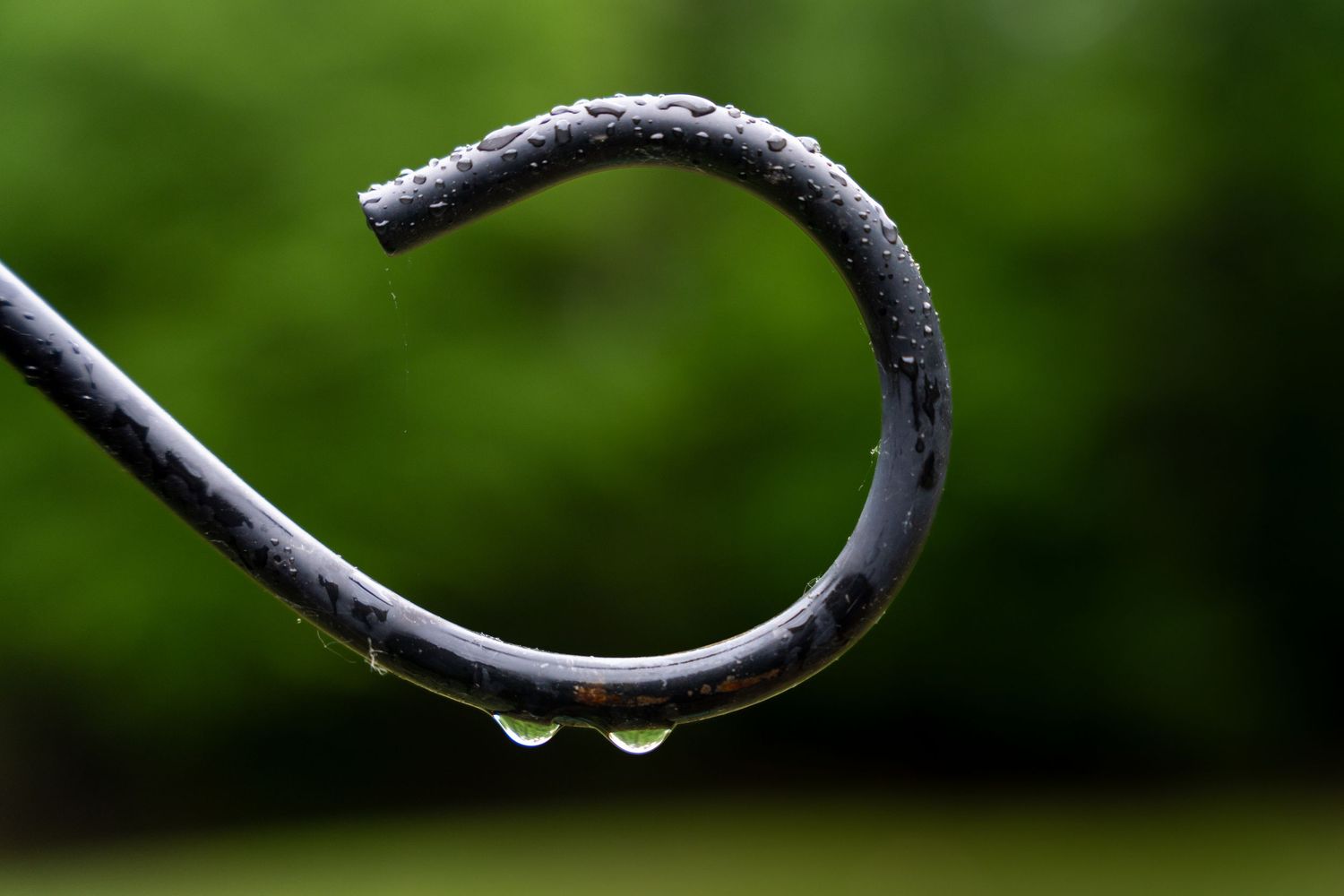 A curved metal hook covered in rain droplets with a lush green bokeh background.