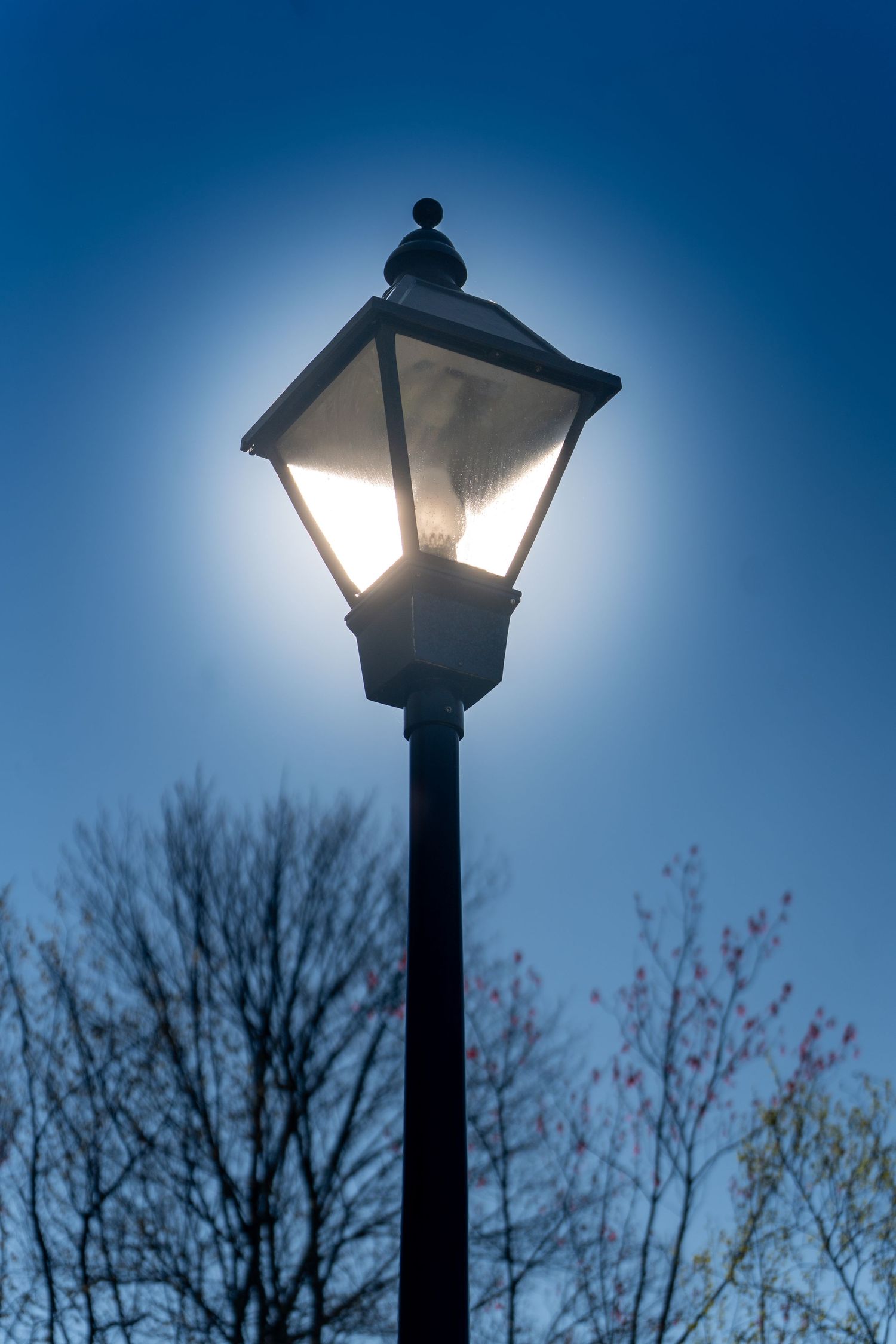 Illuminated vintage street lamp glowing against a clear blue dusk sky with silhouetted bare trees in background.
