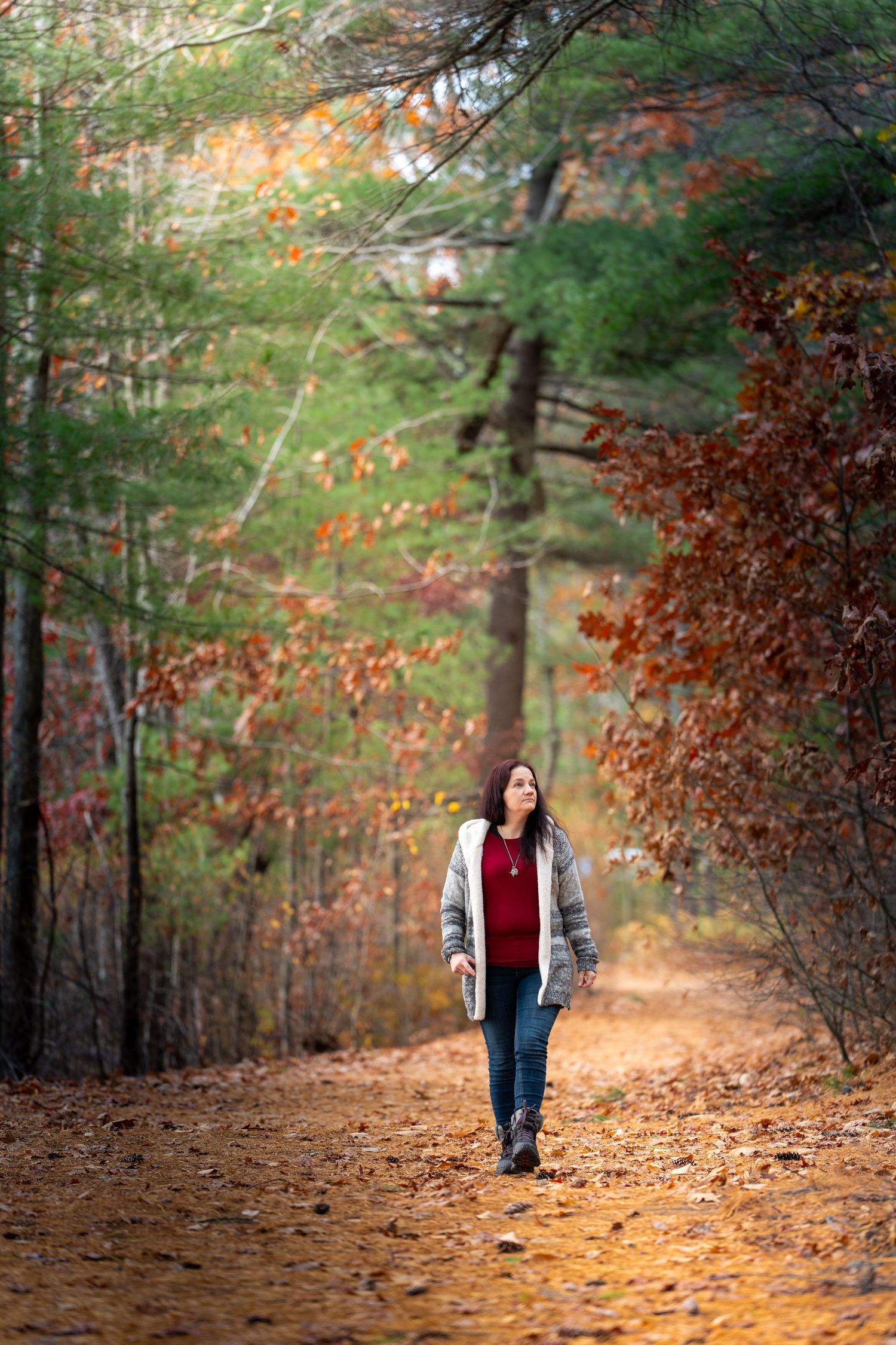 A person walks along a serene forest path covered in golden autumn leaves with evergreen trees lining the sides.