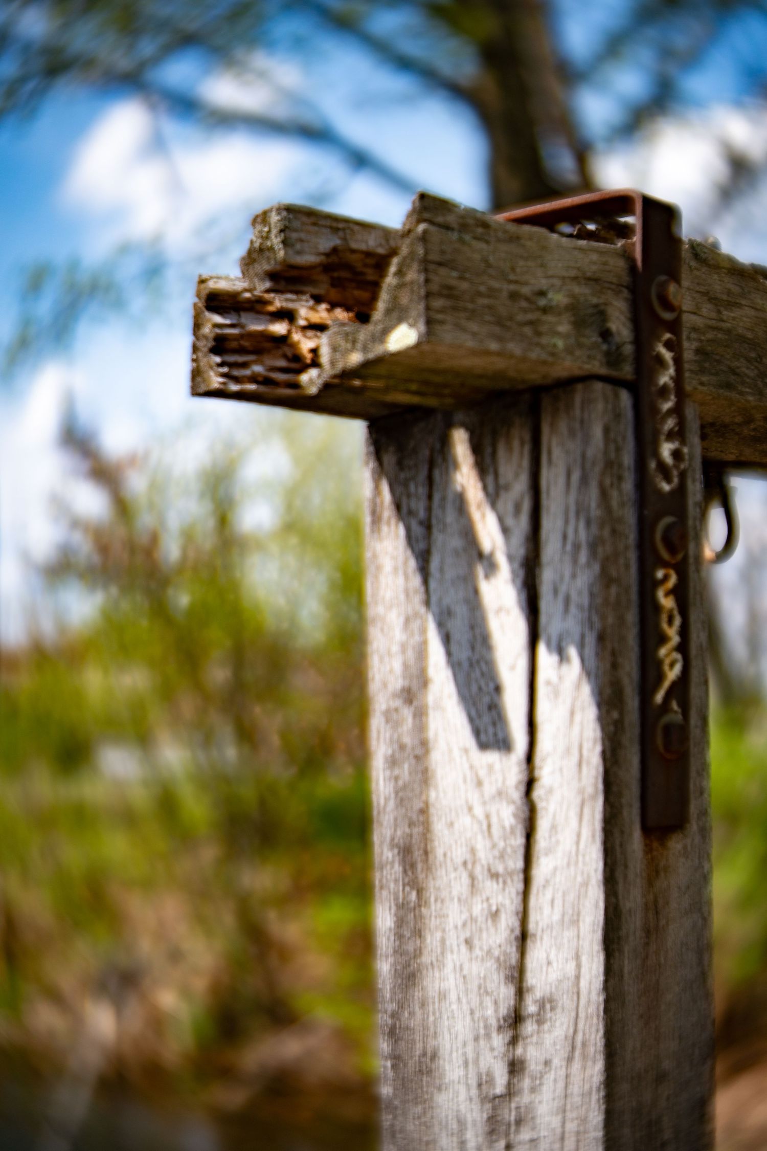Close-up of a weathered wooden post with rusty metal bracket in a natural outdoor setting.