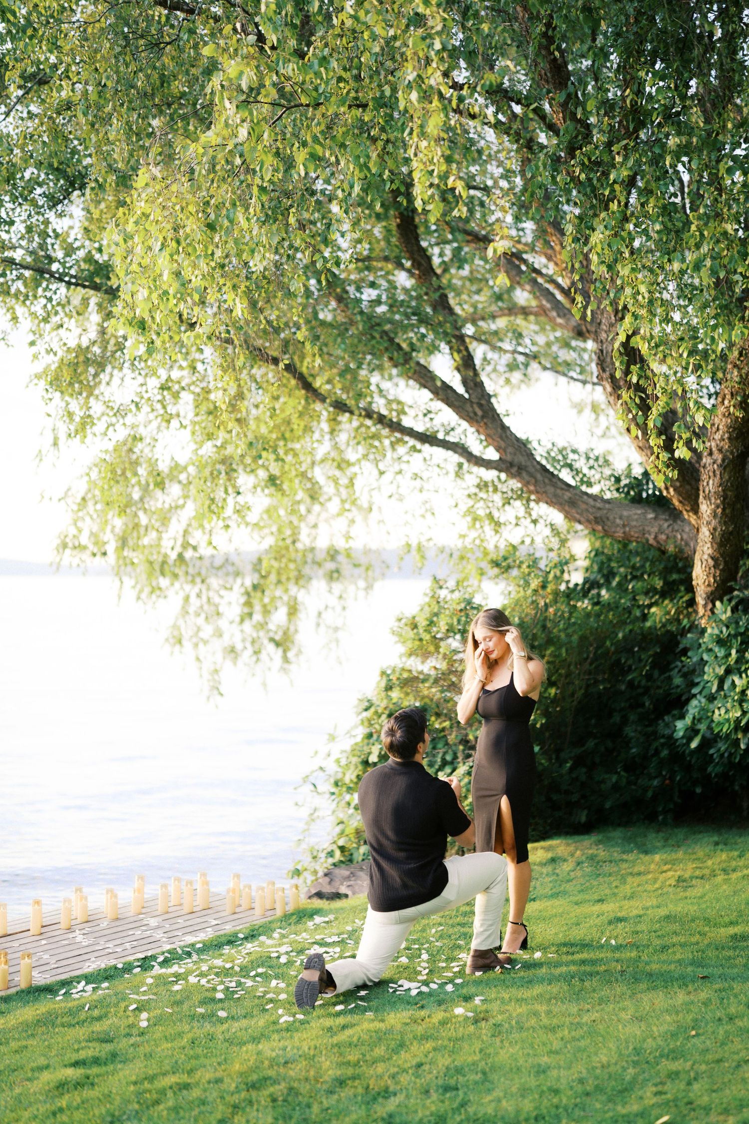 Wide view of the proposal under the willows at Carillon Point, Kirkland proposal photographer