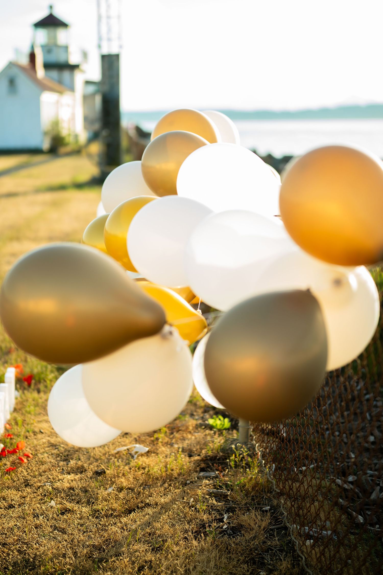White and gold balloon arch set up in the meadow with the lighthouse behind, West Point Lighthouse proposal photographer, Seattle
