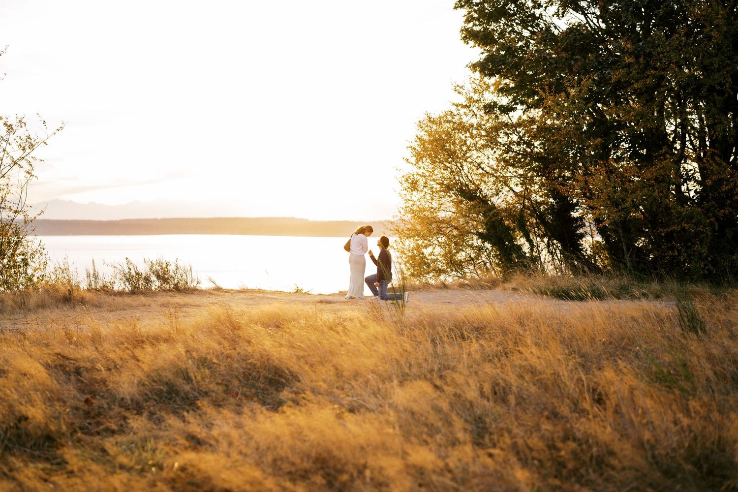 Golden hour light on the south bluff meadow, Discovery Park proposal photographer, Seattle