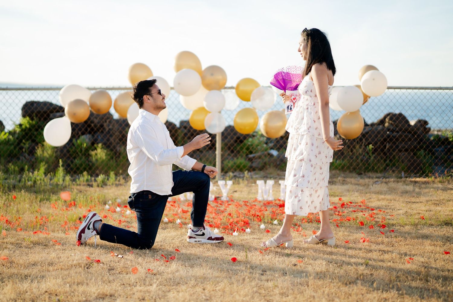 On one knee in the meadow under the balloon arch, West Point Lighthouse proposal photographer, Seattle