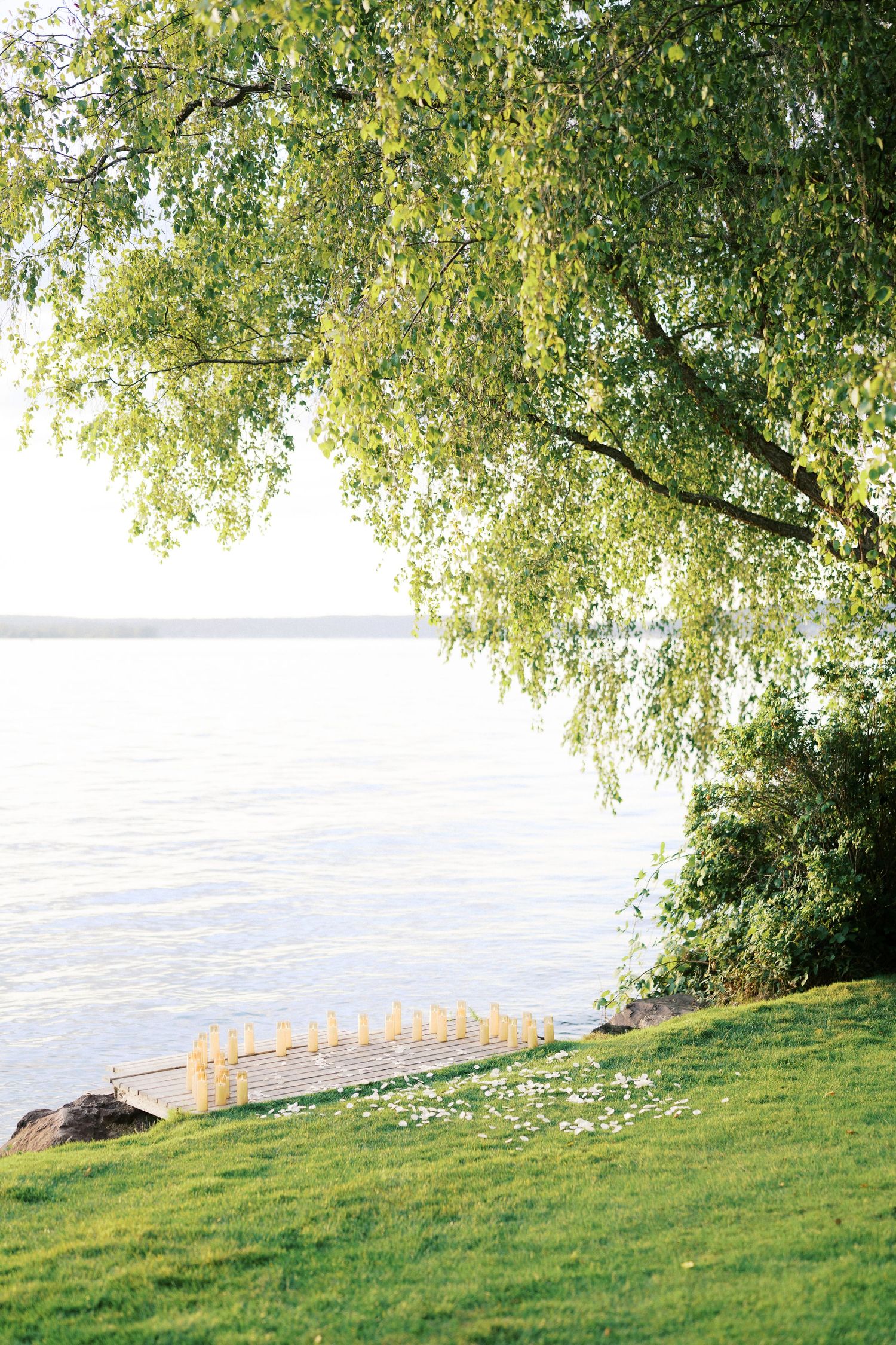 Empty lawn and willow trees above Lake Washington at Carillon Point in Kirkland