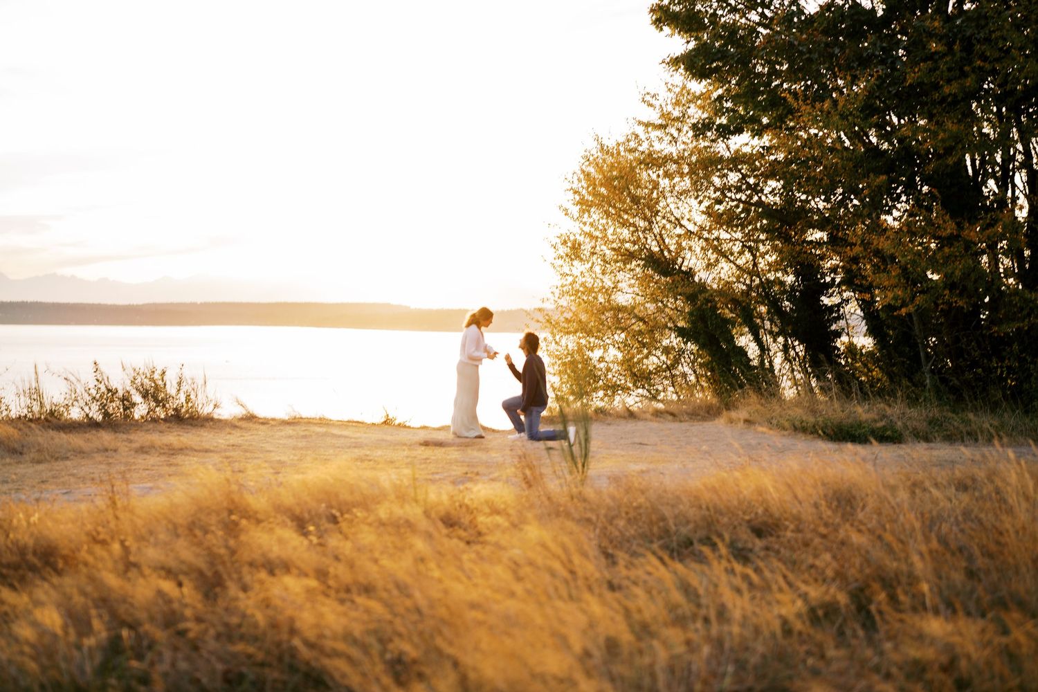 The proposal seen from a distance between two trees, Discovery Park proposal photographer, Seattle
