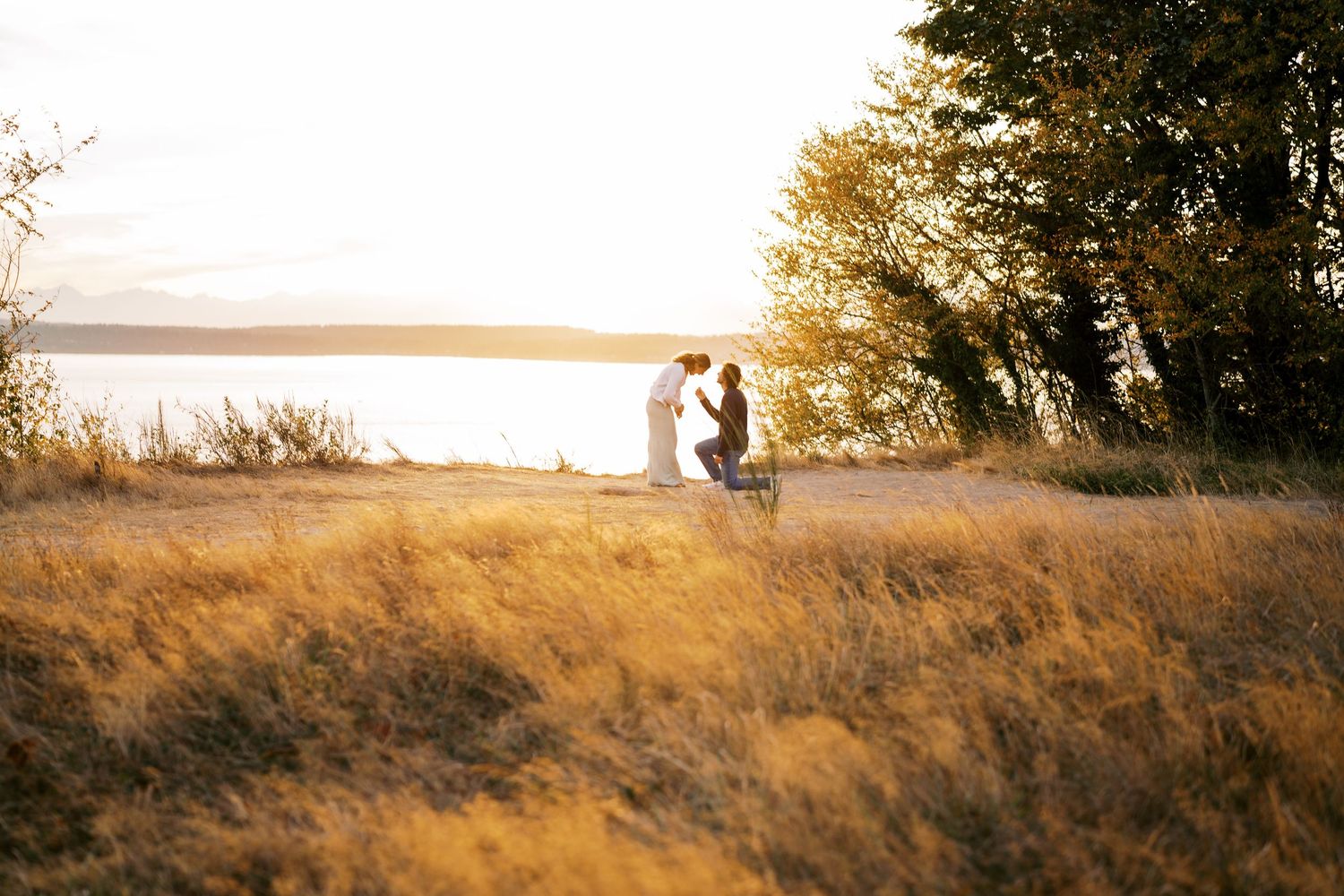 Down on one knee in the golden grass, Discovery Park proposal photographer, Seattle