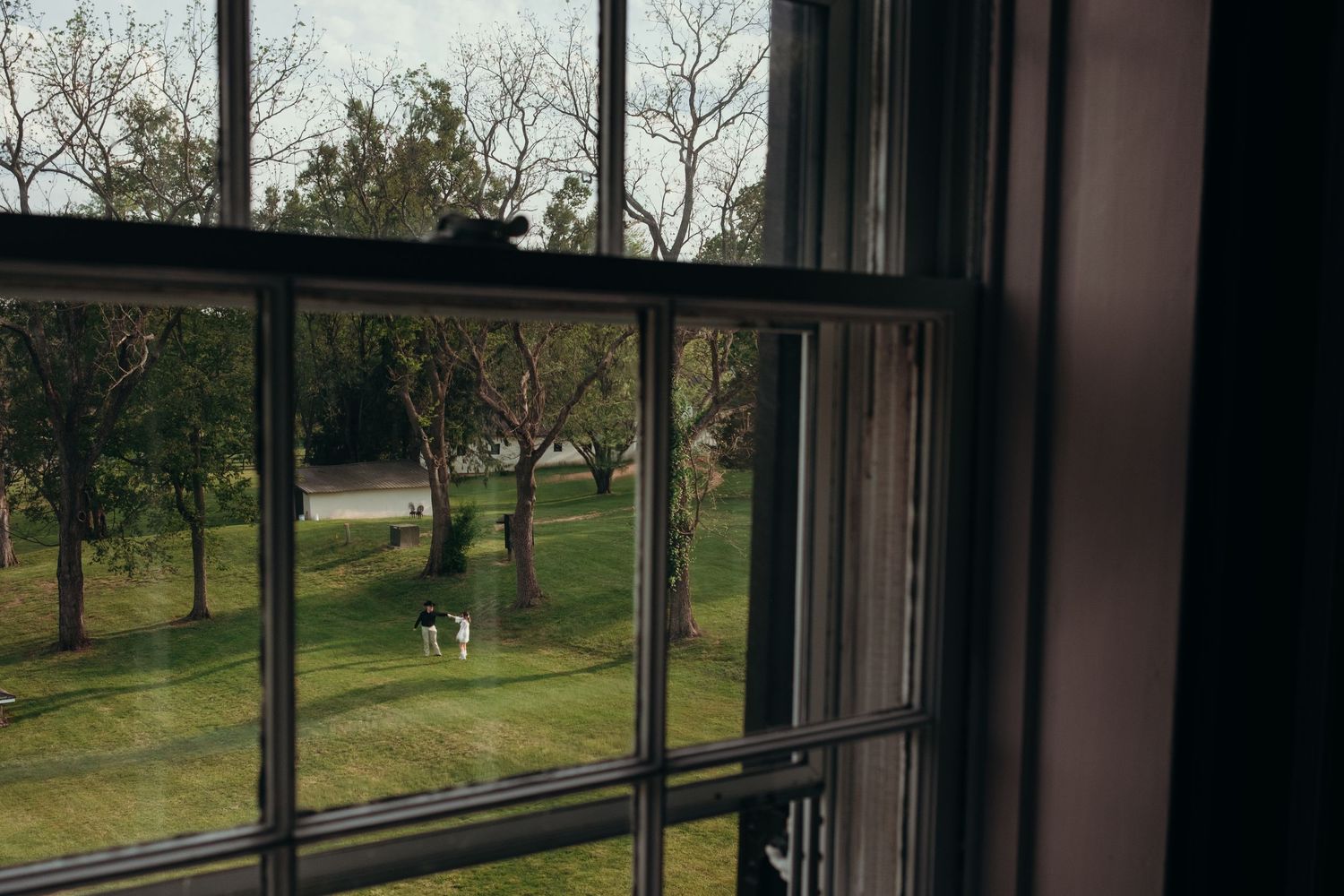 View through a multi-pane window overlooking a lush green lawn with trees and a dog in the distance.