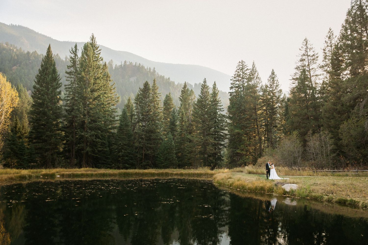 A scenic mountain landscape with evergreen trees and a rustic wooden fence stretches across a panoramic view.