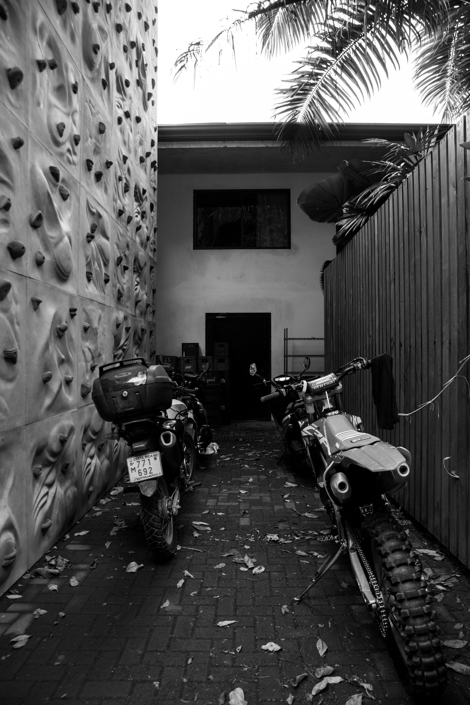 Motorcycles parked along a dark alley with climbing wall and palm trees visible at night.