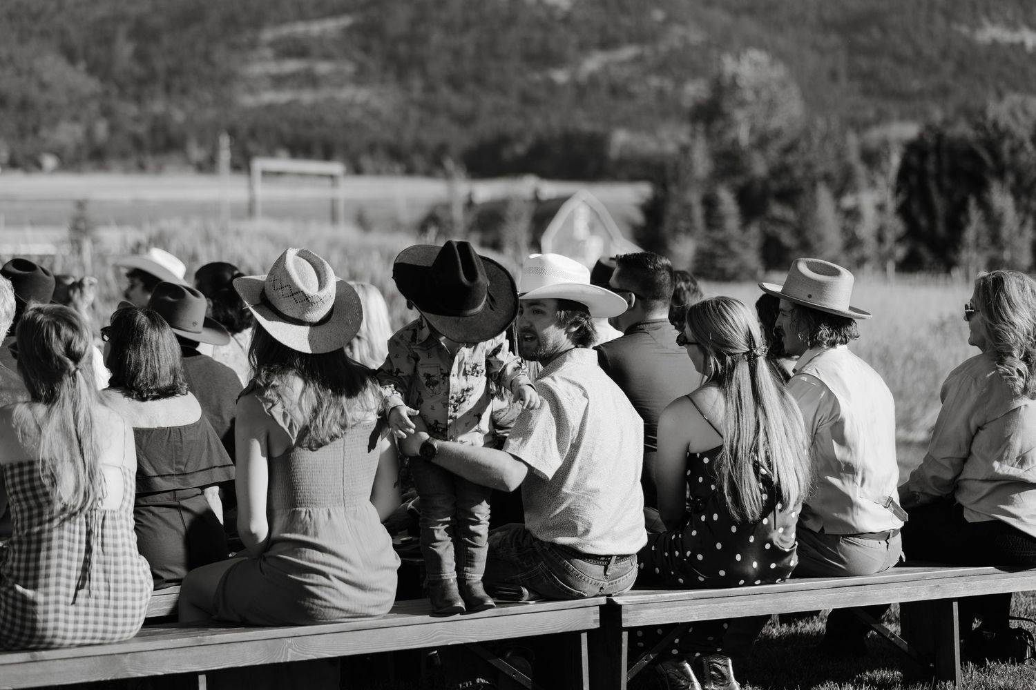 Silhouettes of wedding guests watching ceremony against mountain landscape.