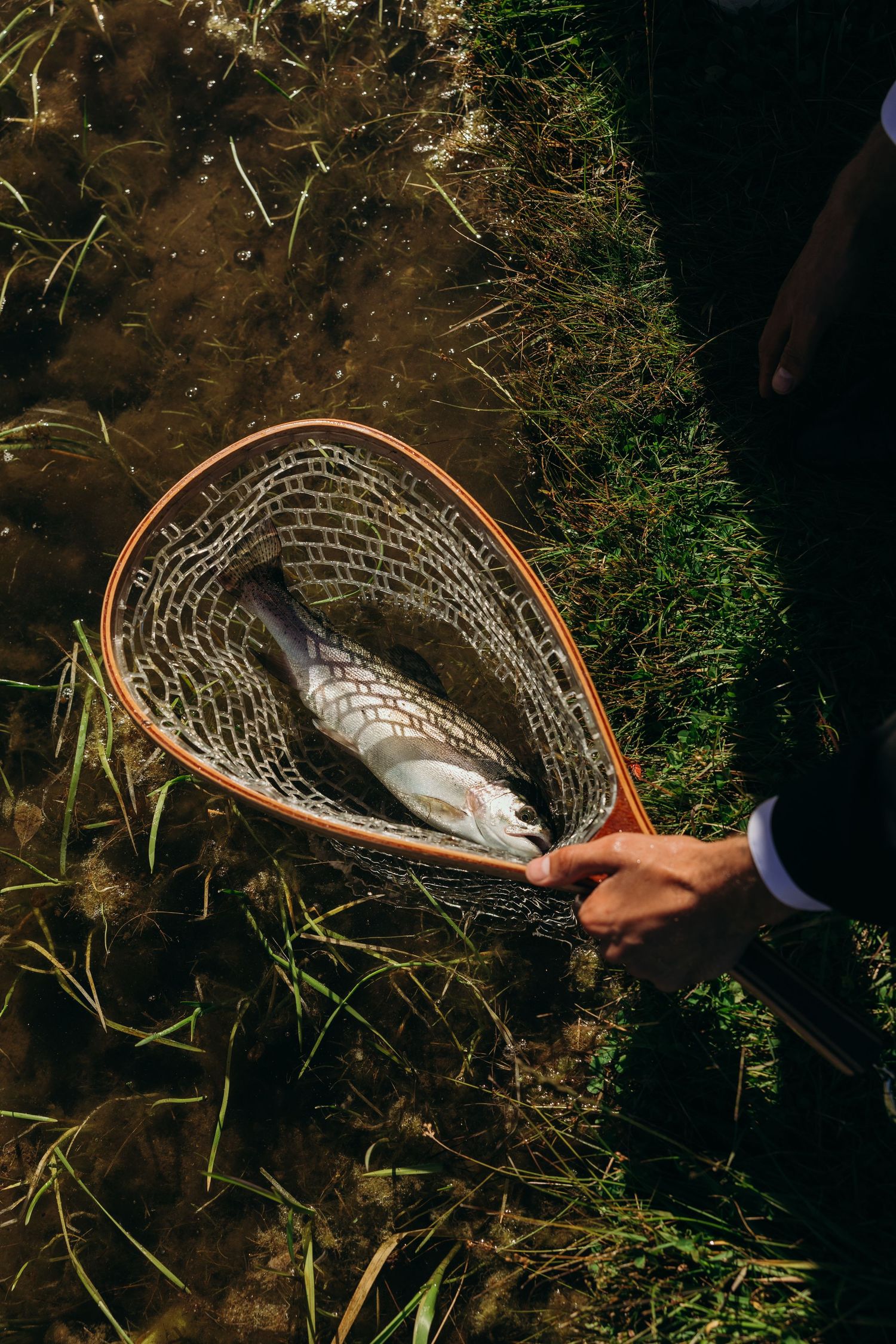 A fishing net with a fresh catch lies on the ground during a wedding celebration.