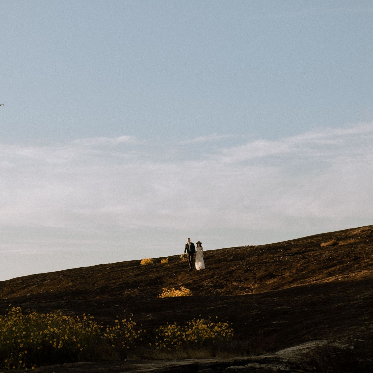 Bride and groom at arabia mountain