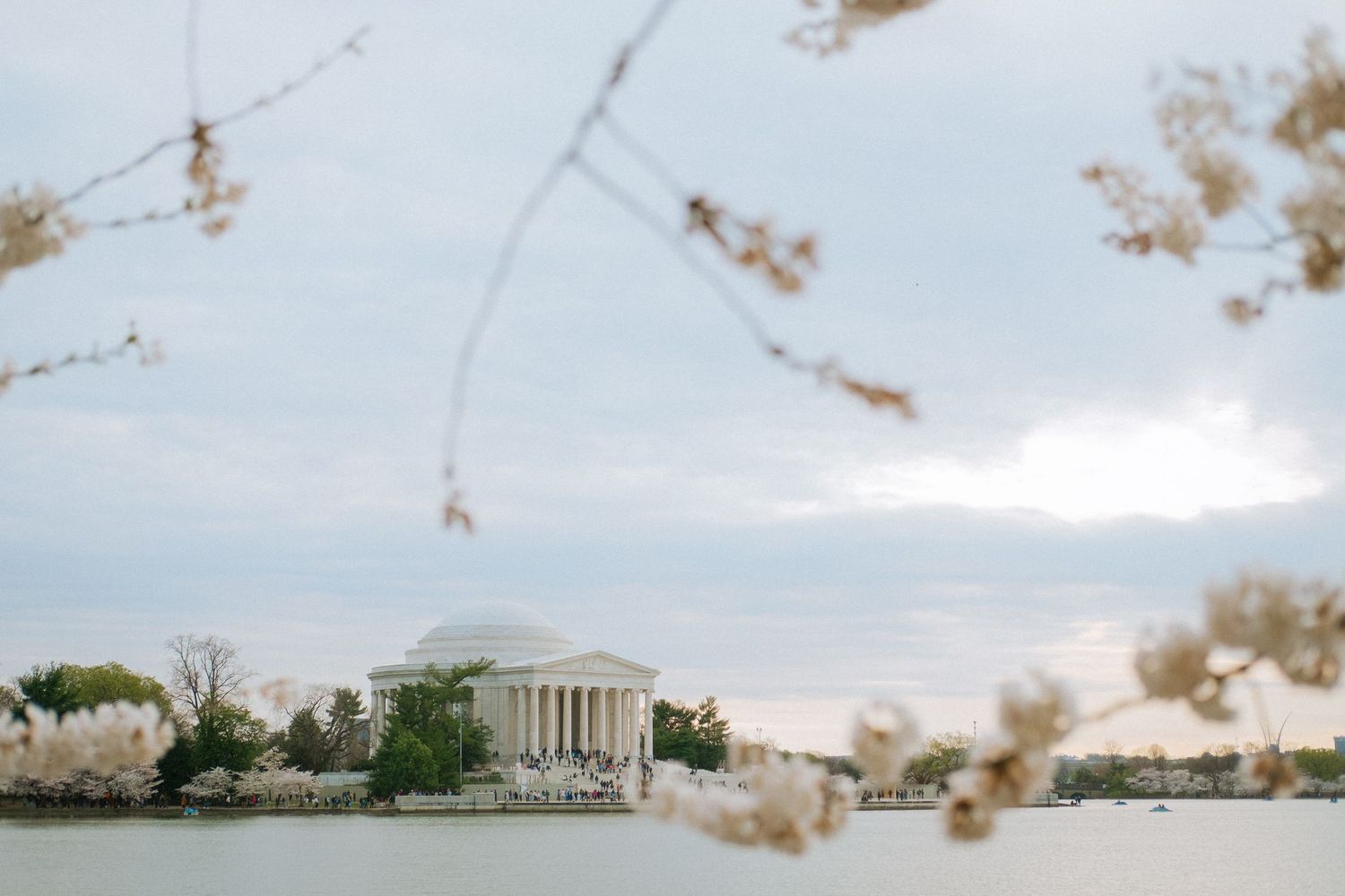 Jefferson Memorial in Spring