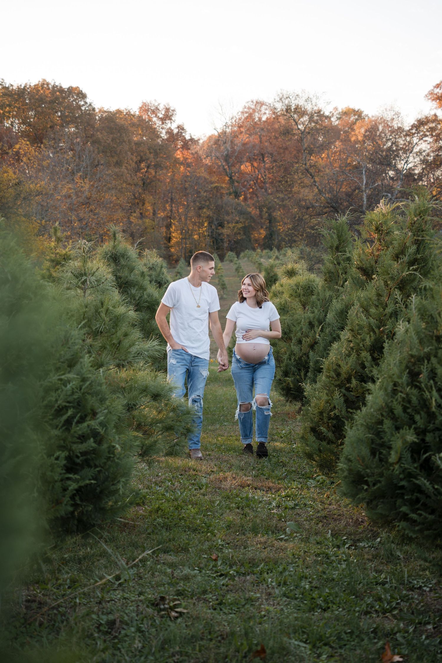 Couple walks together through rows of evergreen trees at a Christmas tree farm during golden hour.