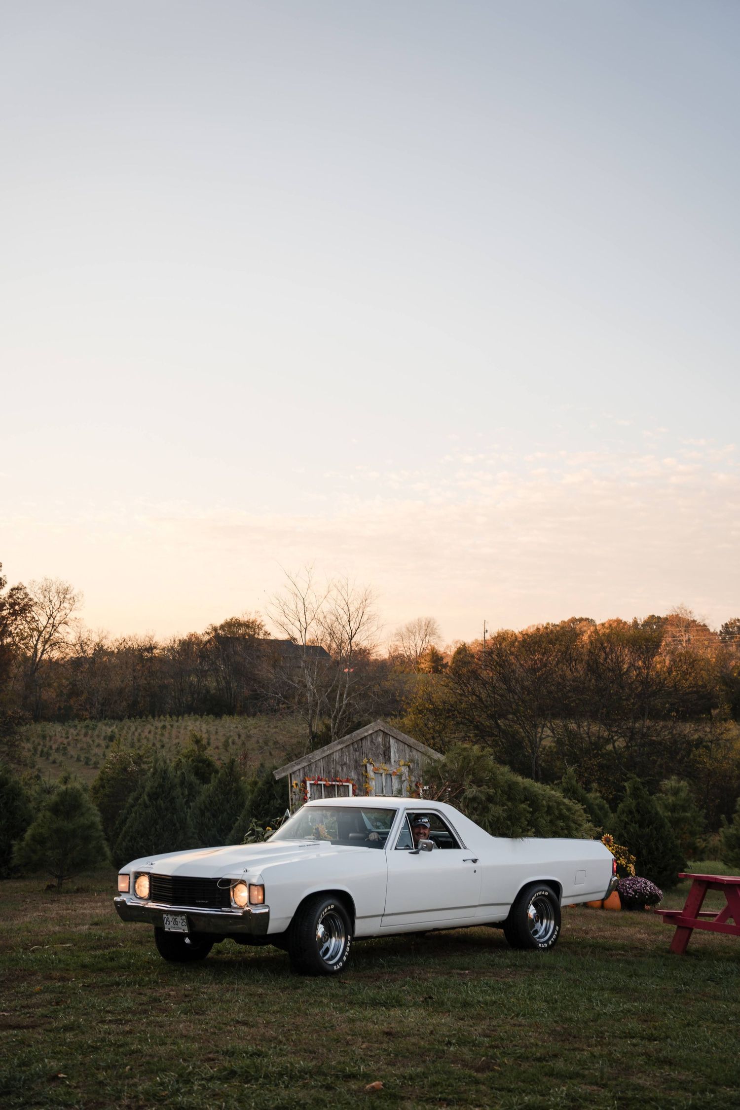 A white vintage El Camino car parked in a grassy field at sunset with trees in the background.