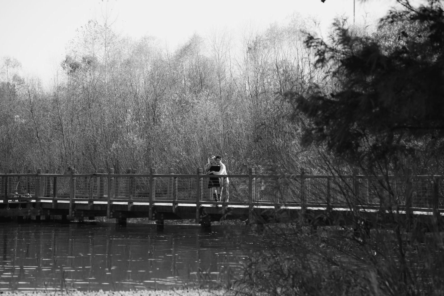 A panoramic black and white photograph shows a serene winter landscape with bare trees and a small structure.