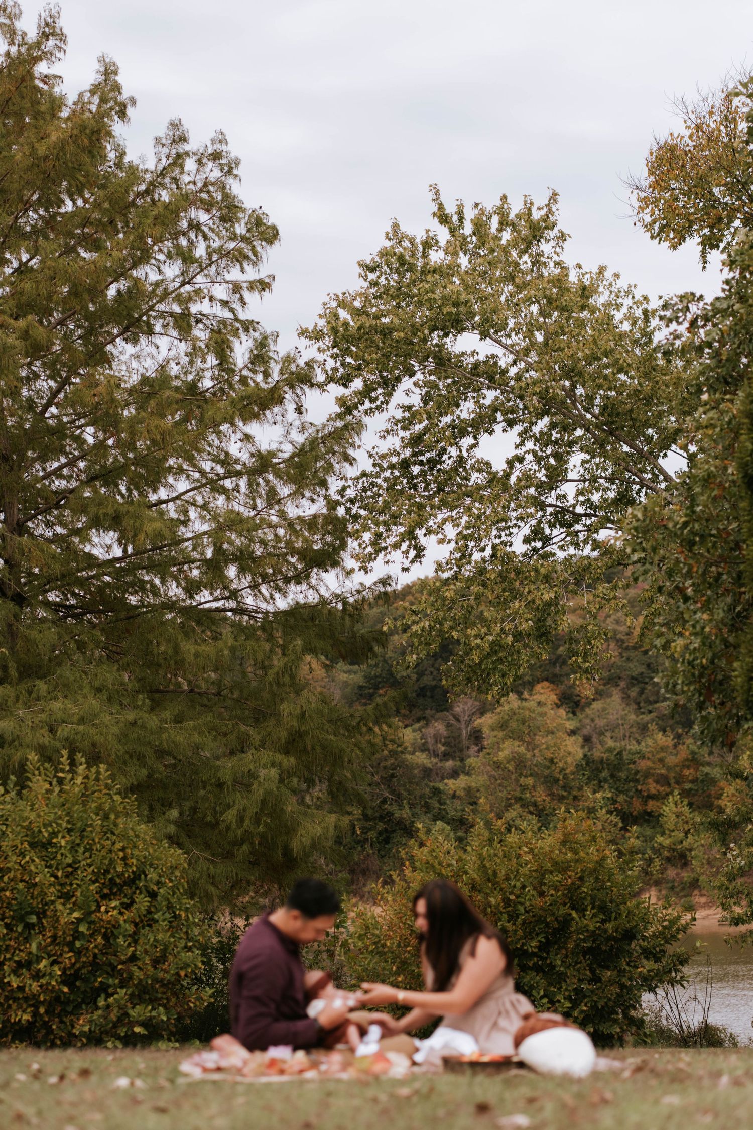 Panoramic view of people relaxing under autumn trees by a lake on a peaceful afternoon.