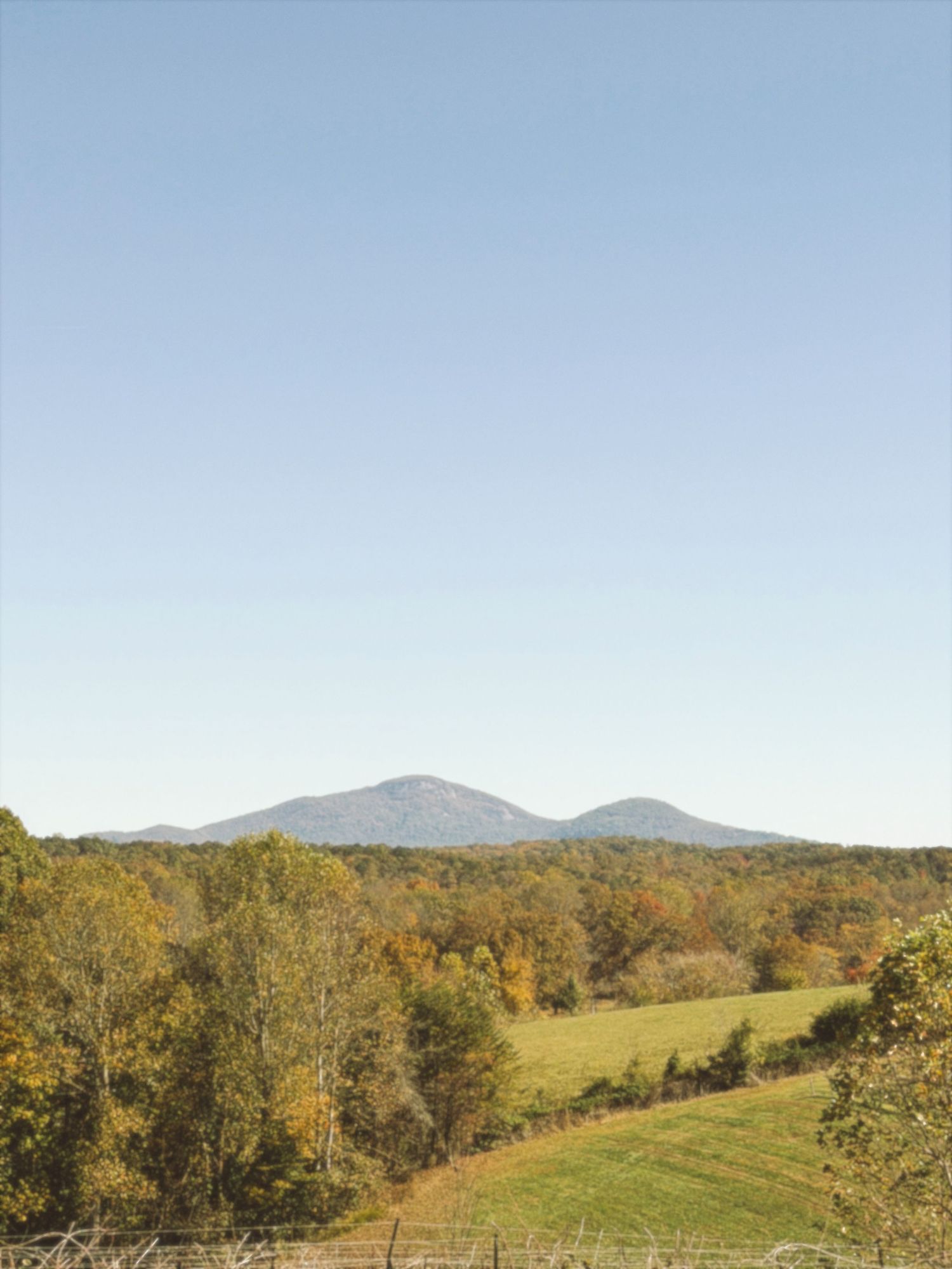 Rolling hills and mountains stretch across a scenic autumn landscape with golden trees and green meadows.