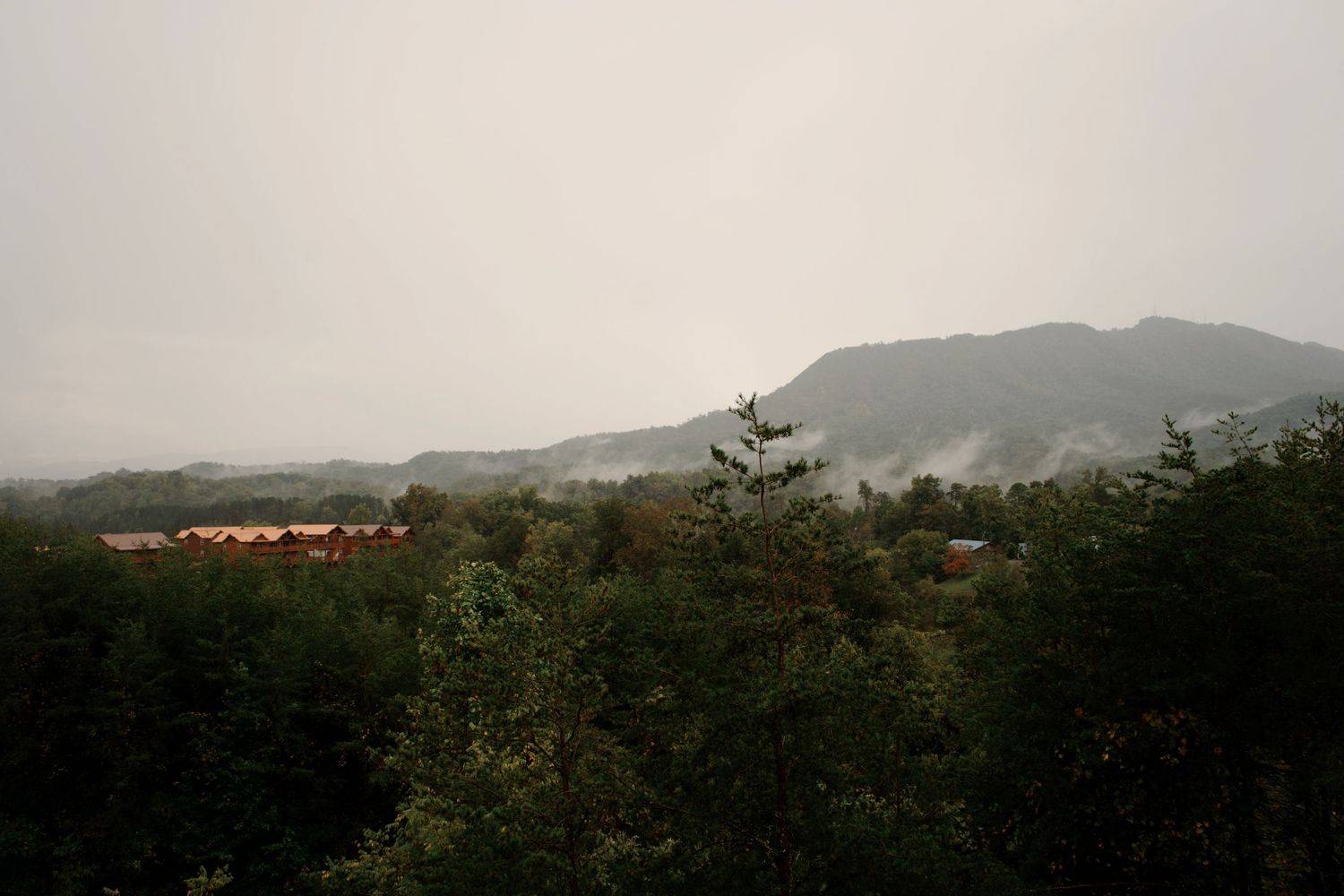 Misty mountain landscape view with rolling hills and evergreen trees in the distance.
