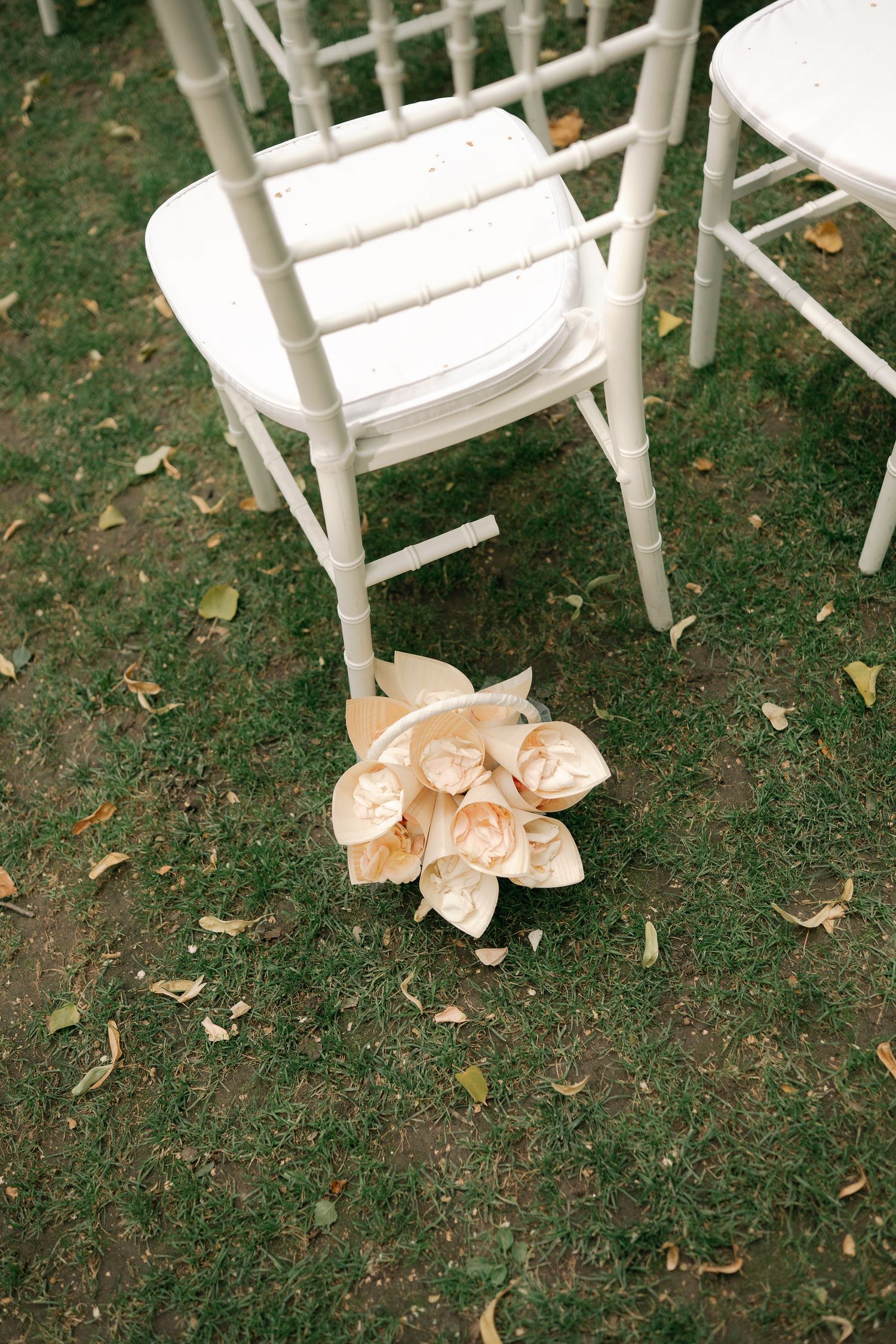 White wooden chairs arranged outdoors on grass with scattered autumn leaves and delicate peach-colored flowers.