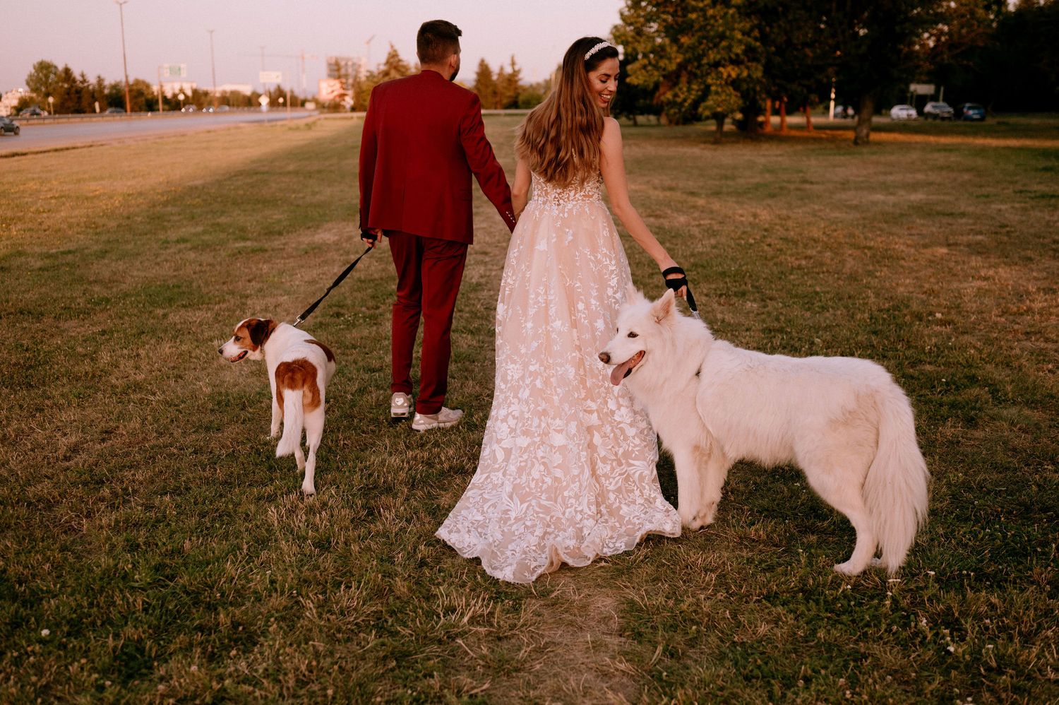 A couple in formal attire walks their white dog during a golden hour photoshoot.