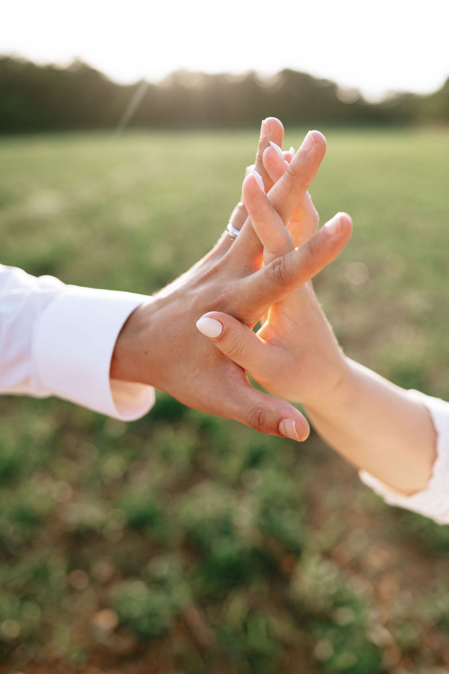 Close-up of hands reaching for each other in warm sunlight against a natural backdrop.