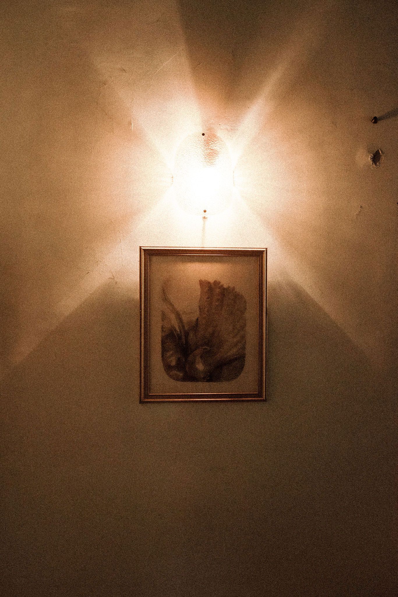 A series of framed artwork displayed on a wall with dramatic sepia-toned lighting creating moody shadows and atmosphere.