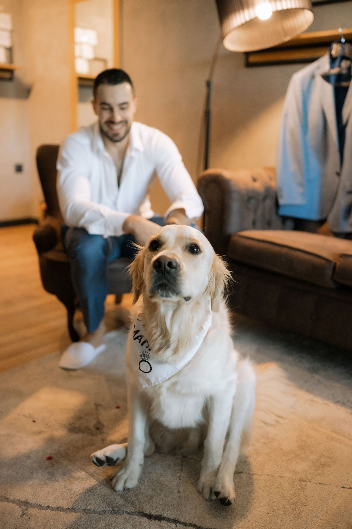 A white fluffy dog sits on a wooden floor while being photographed in a series of candid shots.