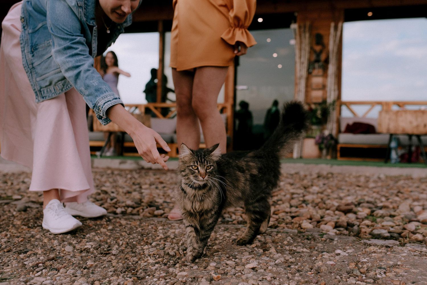 Feet and legs of people gathered on a wooden deck surface.