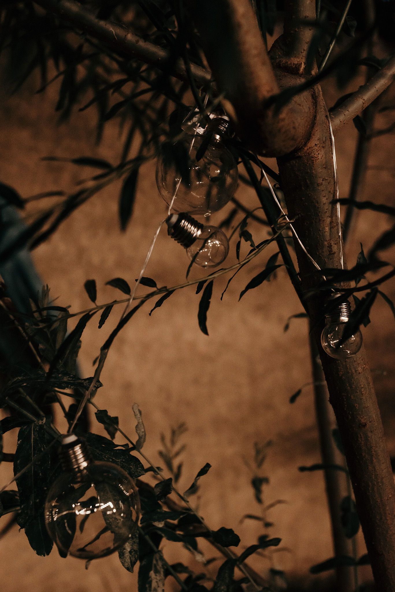 Moody nighttime scene with string lights hanging from dark tree branches against a warm brown background.