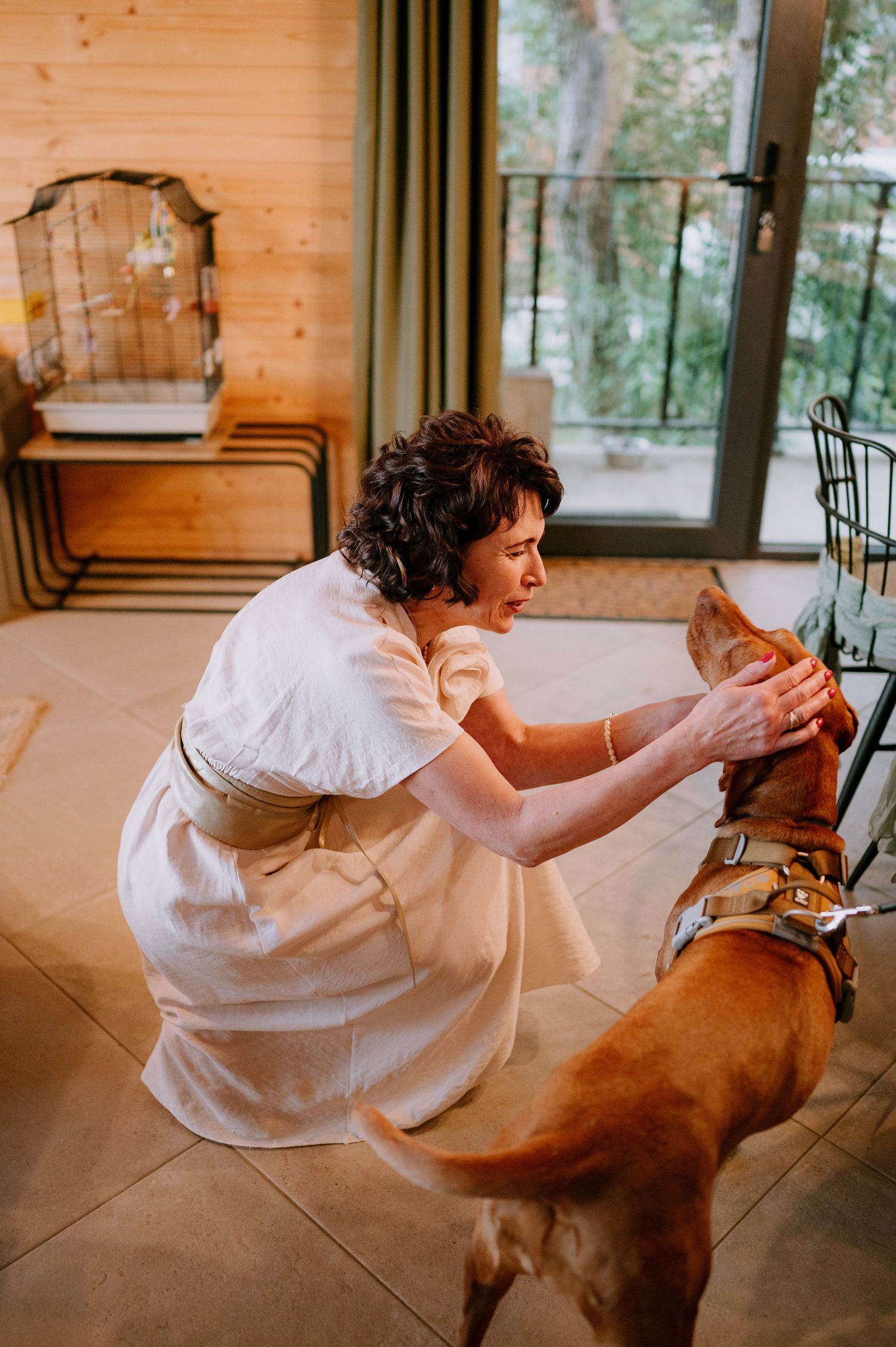 A person in white kneels to pet a brown dog in a wooden-paneled room.