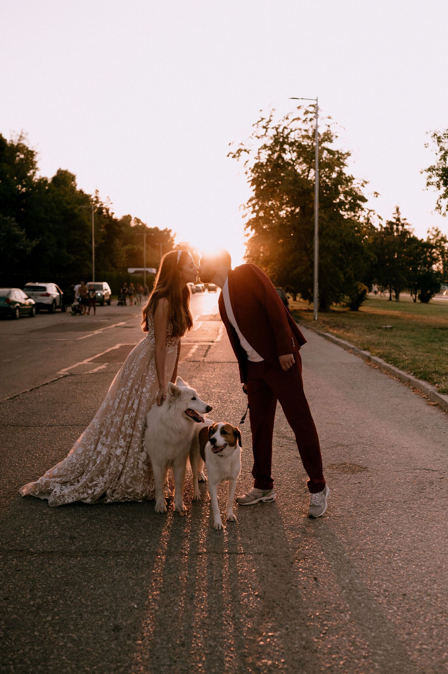 Two dogs accompany a couple walking on a street at sunset.