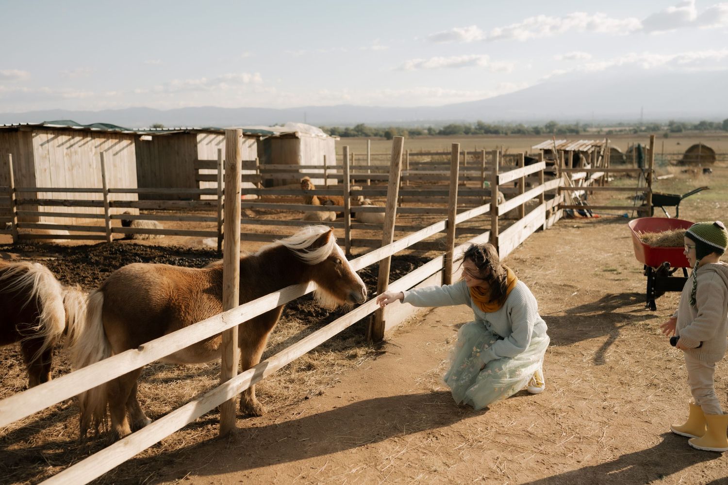 A panoramic view of horses in a fenced corral area with mountains visible in the background on a cloudy day.