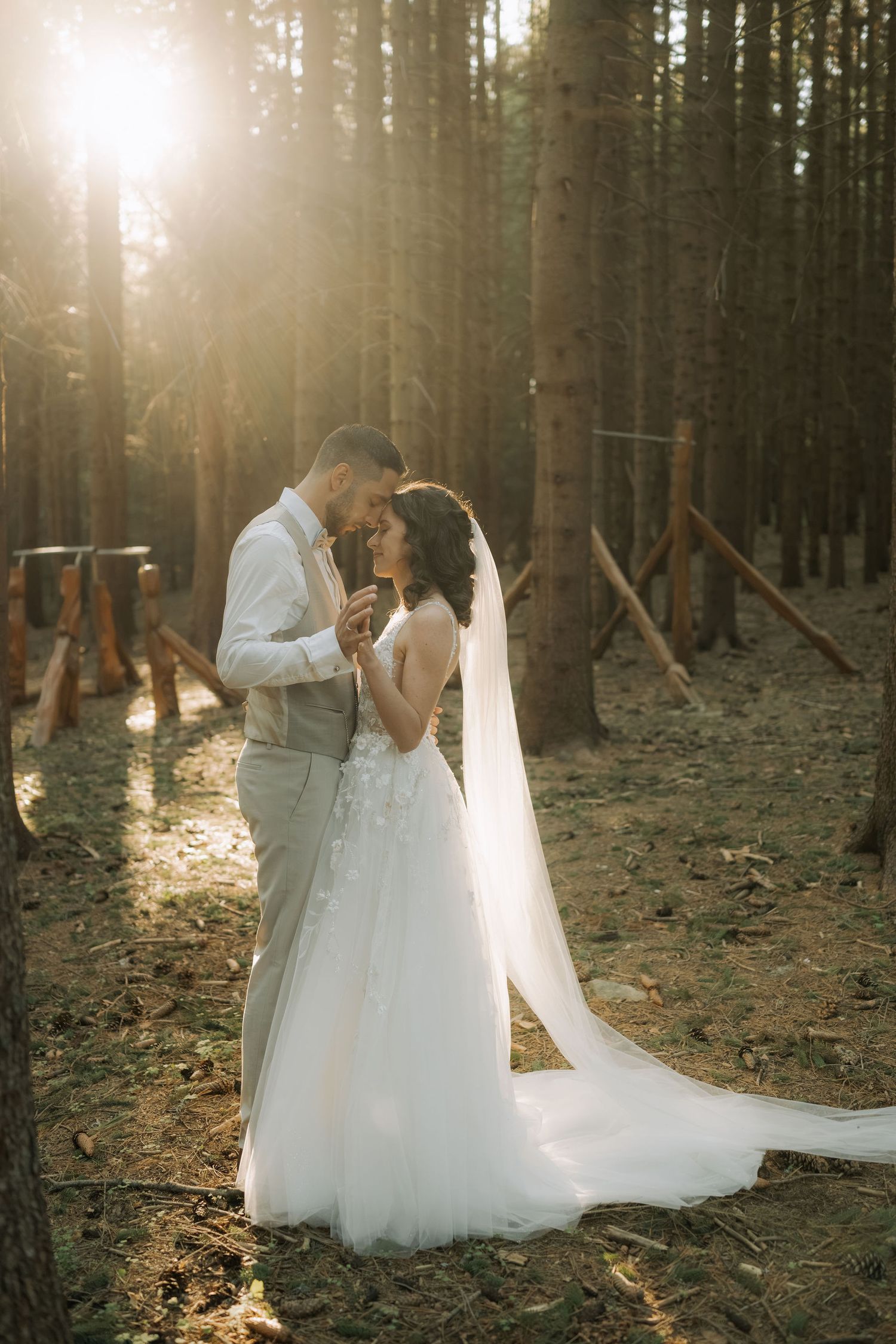 Bride and groom embrace in sunlit forest, bride wearing white lace gown with long veil, golden hour light.