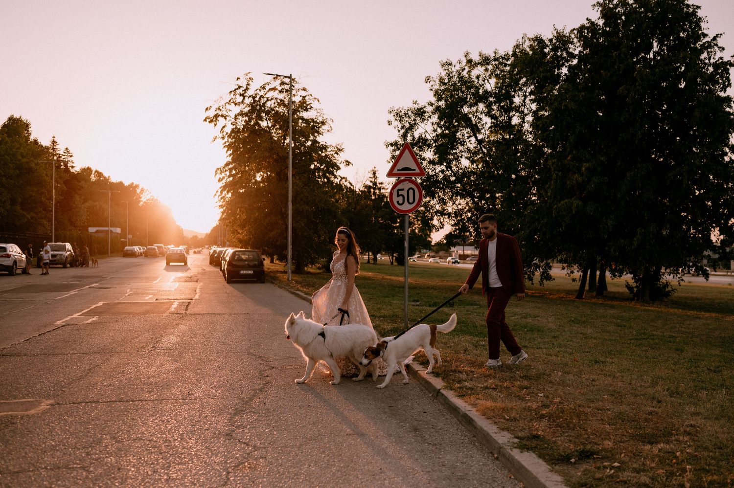 Long shadows cast on a path as a couple walks with their dog during sunset.