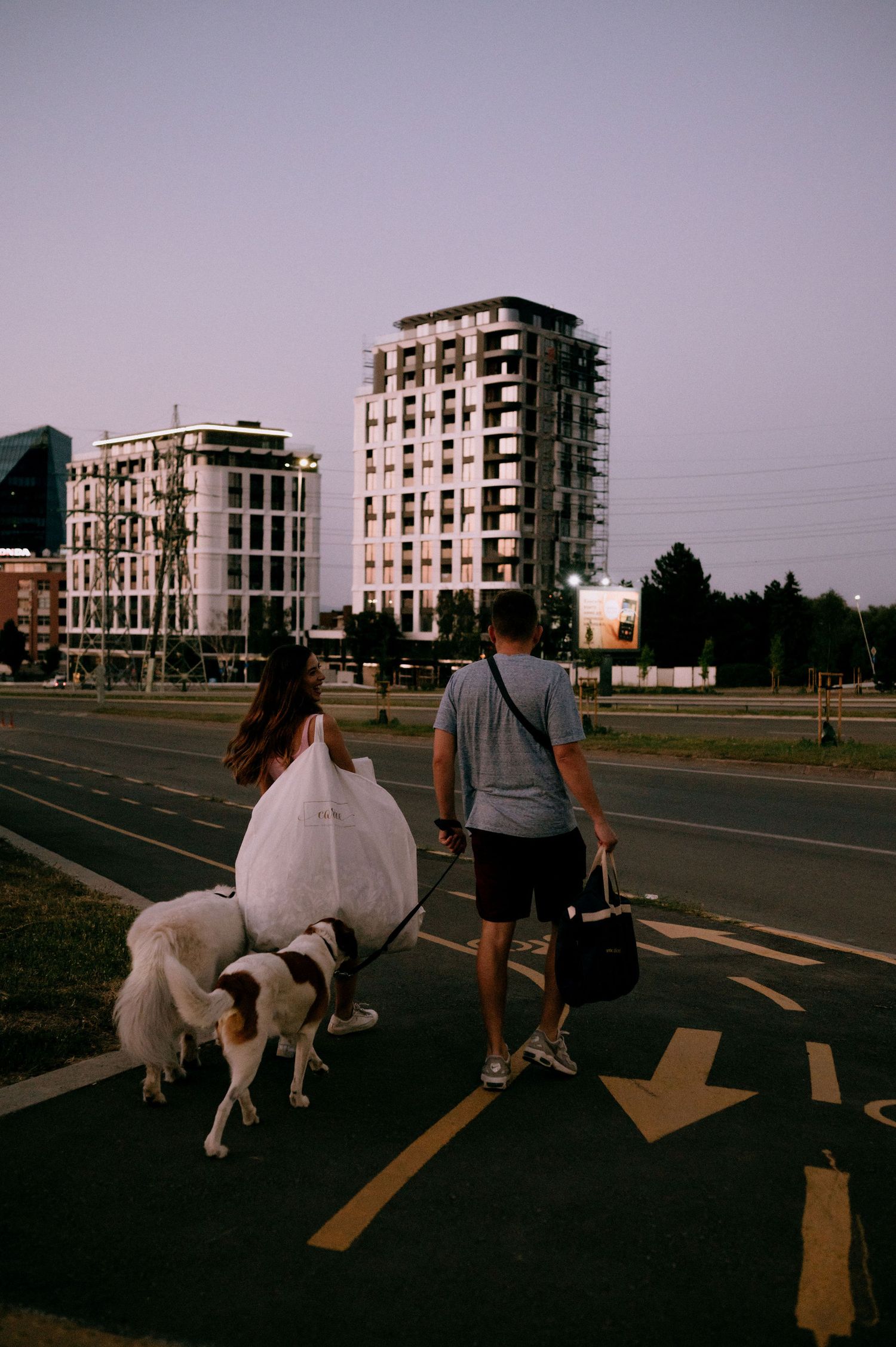 Group walking dogs on a city street at twilight with modern buildings visible.