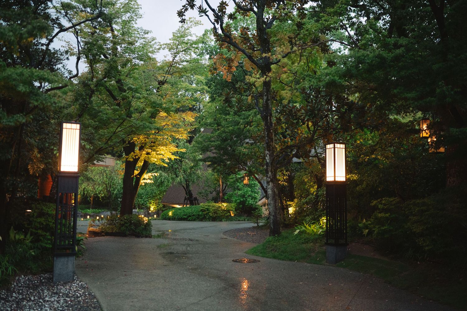A serene garden pathway surrounded by trees and illuminated by soft lighting at dusk.