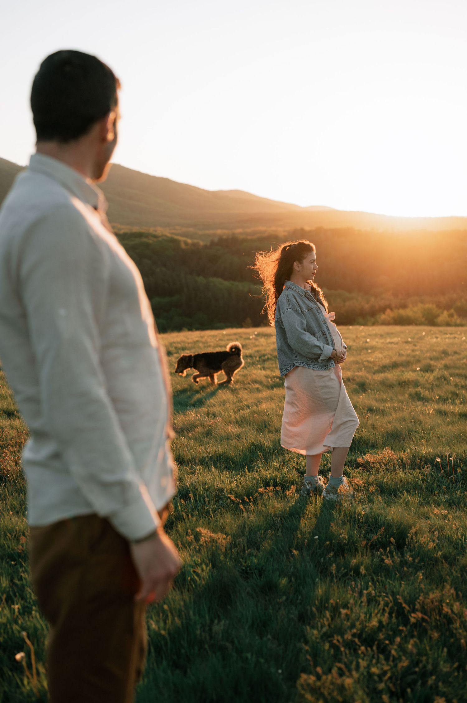 A couple stands in a golden field at sunset with mountains in the distance and a dog visible in the background.