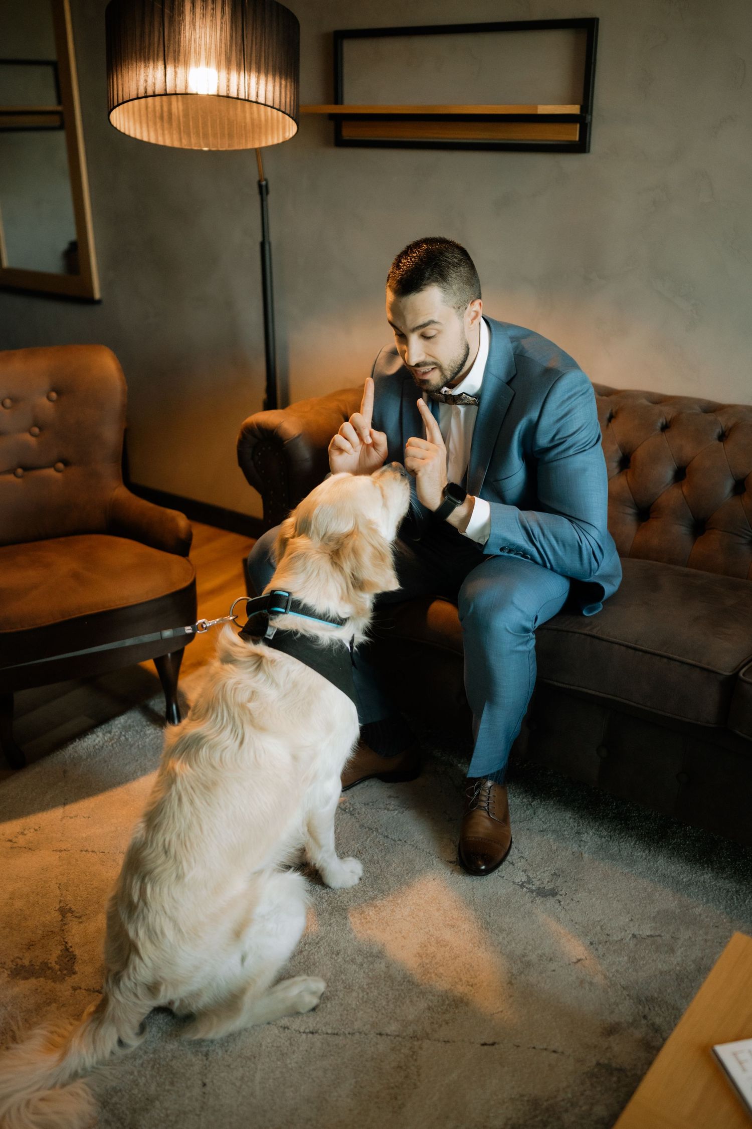 Person in blue suit kneels beside golden retriever dog in cozy living room setting with warm lighting.