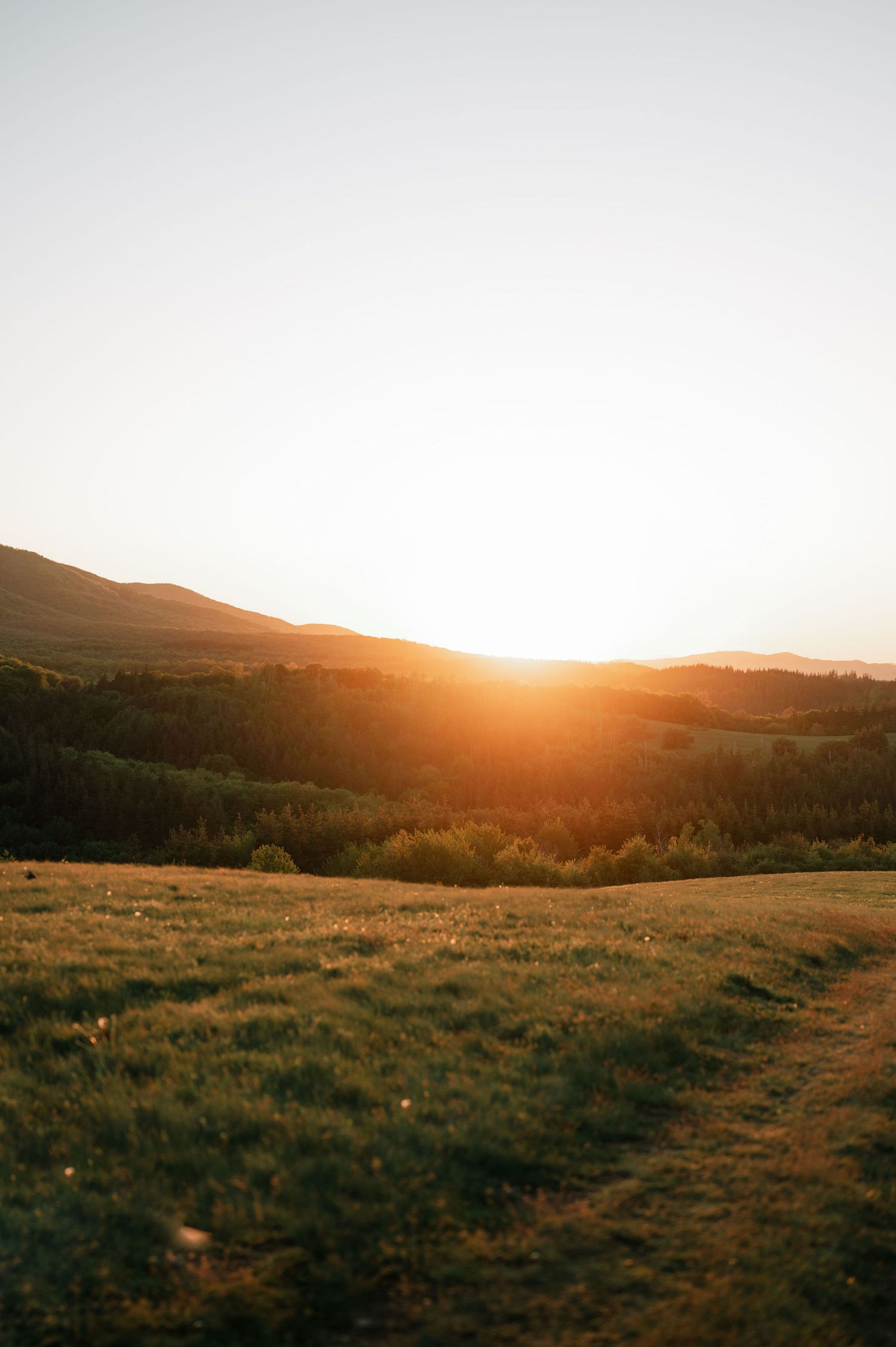 Golden sunset illuminates rolling hills and grassy meadows in a serene mountainous landscape.