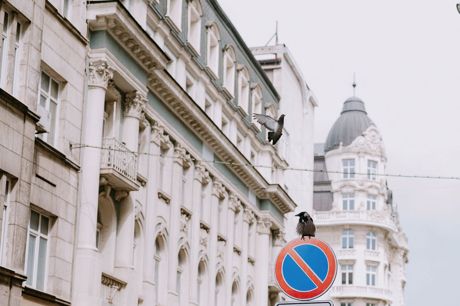 Classic European architecture with ornate building facades and street signs.